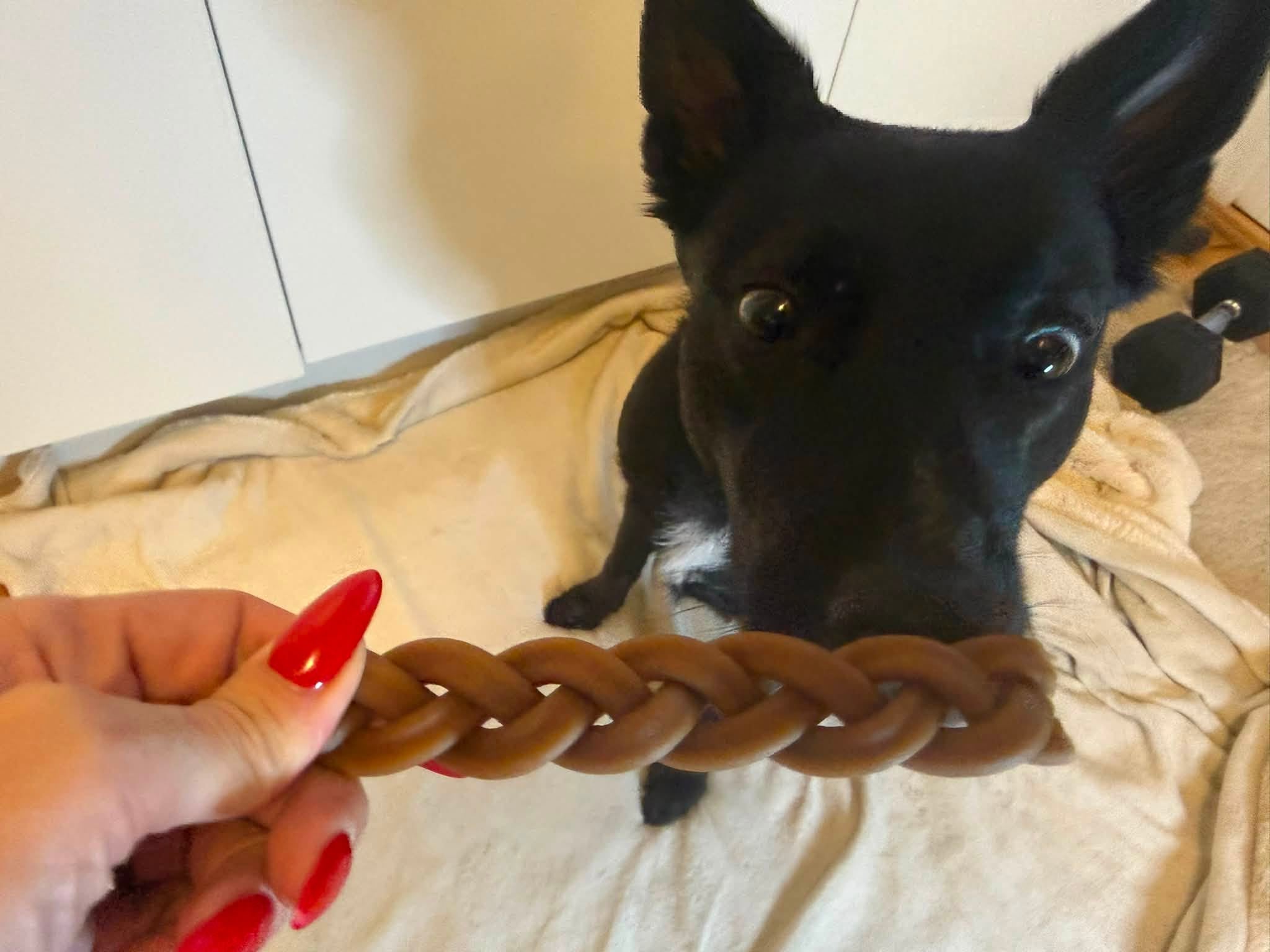Flätad tjursena 15 cm – naturligt hundtugg av nöt