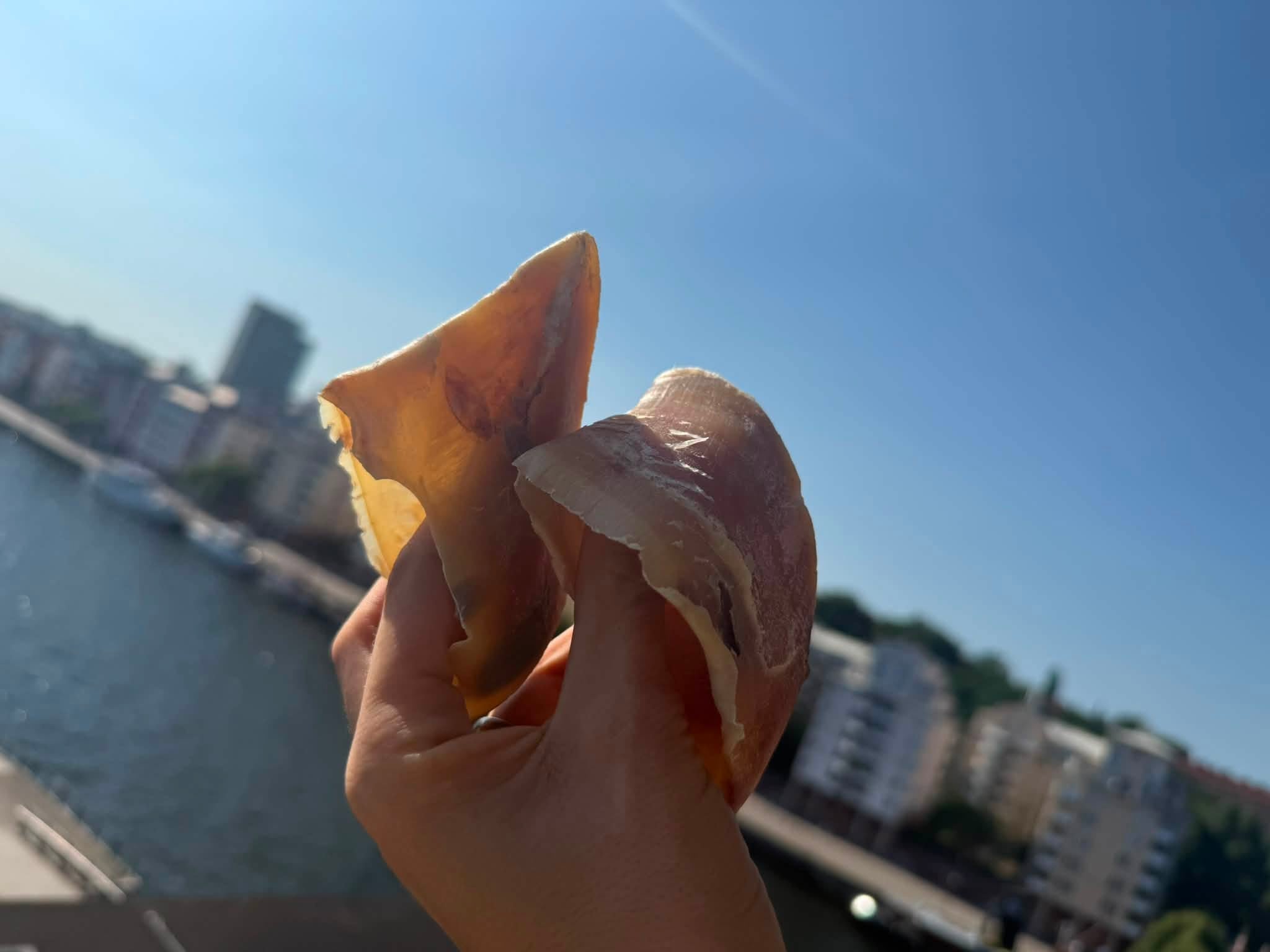 Nöthov – 100 % Naturligt Tugg för Hundar