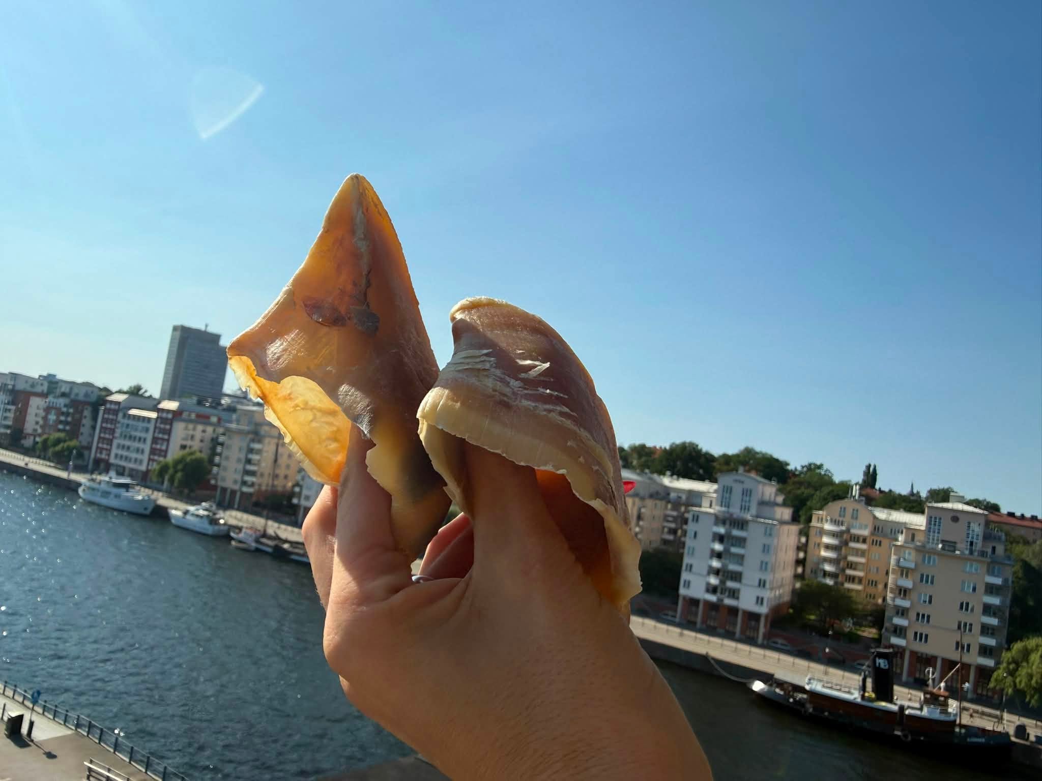 Nöthov – 100 % Naturligt Tugg för Hundar