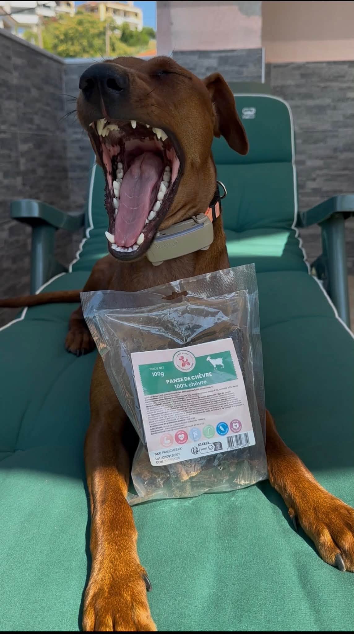 Getvom för hund 100 g – 100 % naturligt hundtugg