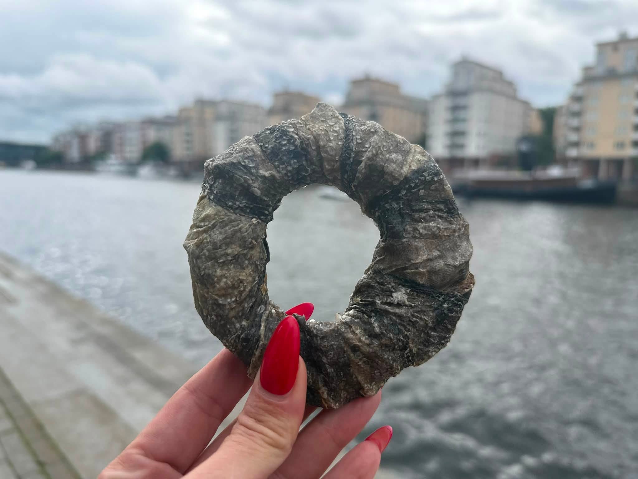 Torskhudsdonuts – naturligt hundtugg av 100 % torskhud