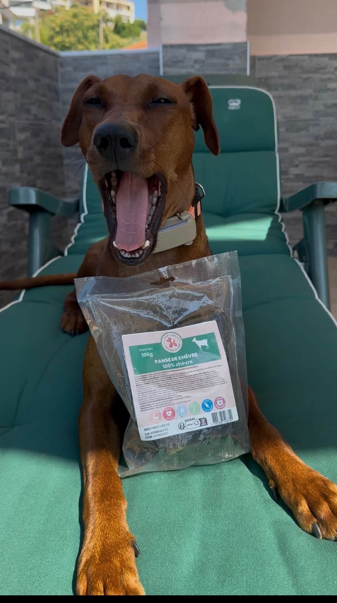 Getvom för hund 100 g – 100 % naturligt hundtugg