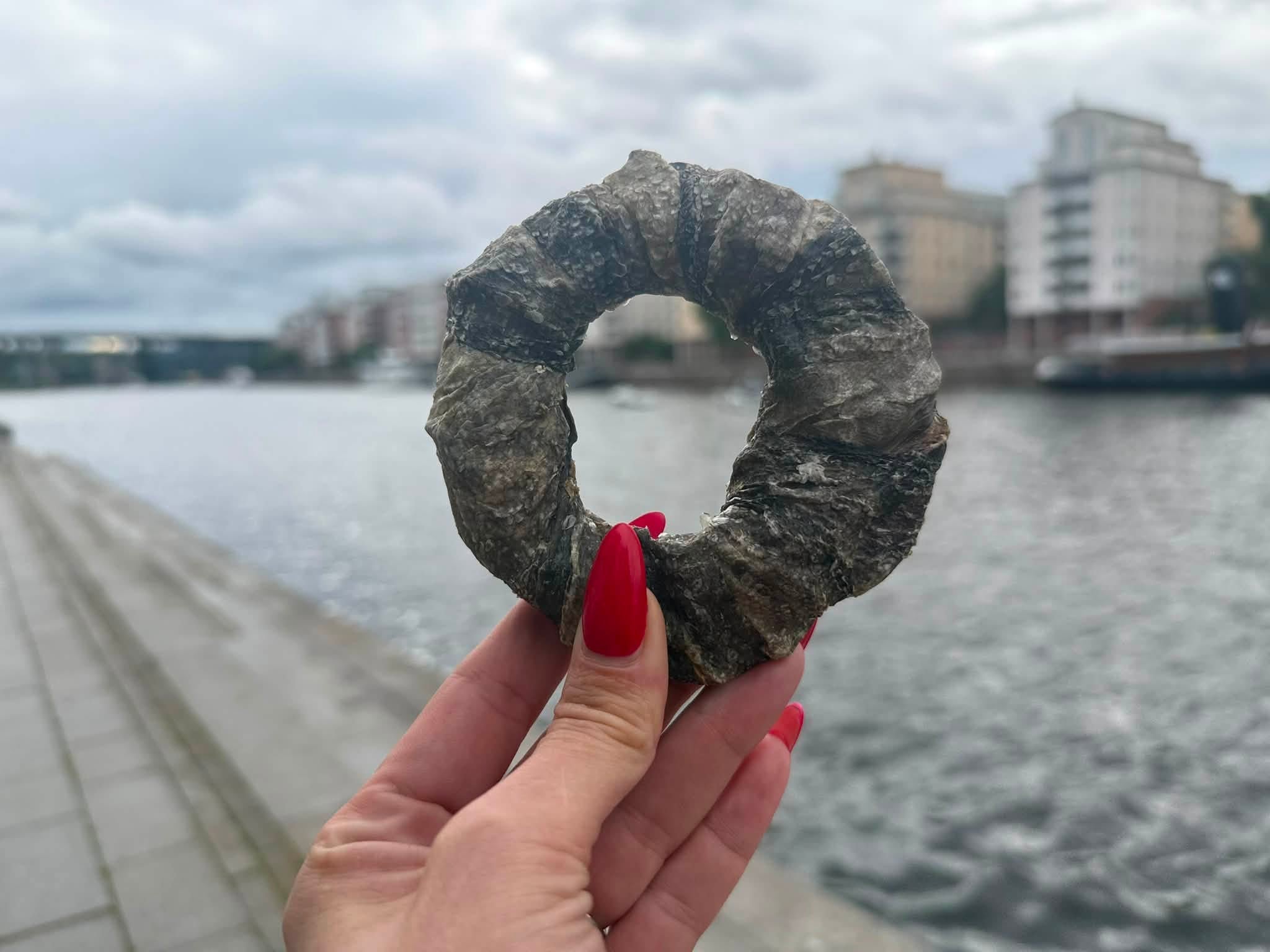 Torskhudsdonuts – naturligt hundtugg av 100 % torskhud