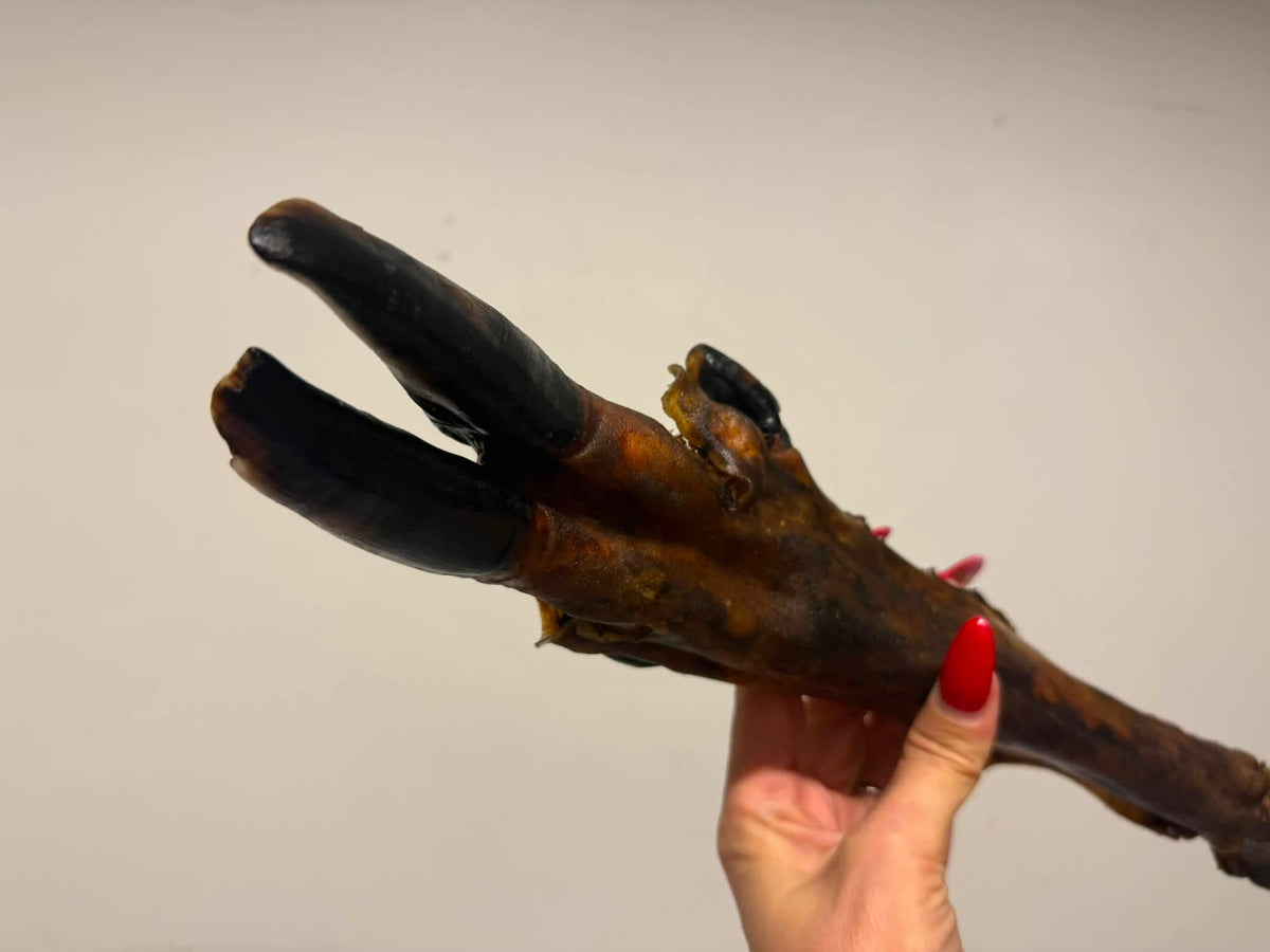 Dovhjortslägg med klöv – 100 % naturligt hundtugg
