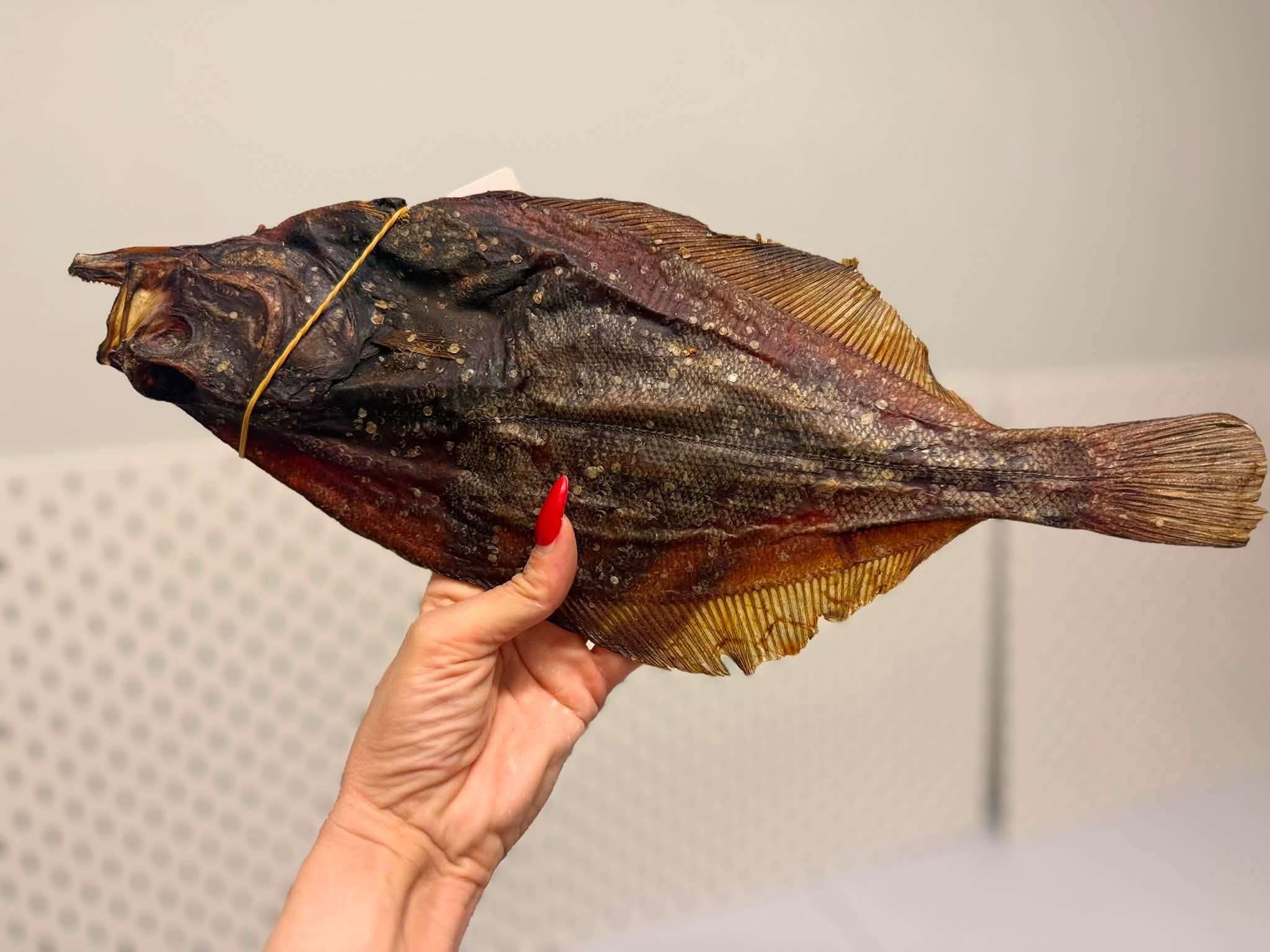 Torkad havskatt 100 g – naturligt fiskgodis med omega-3 för hund
