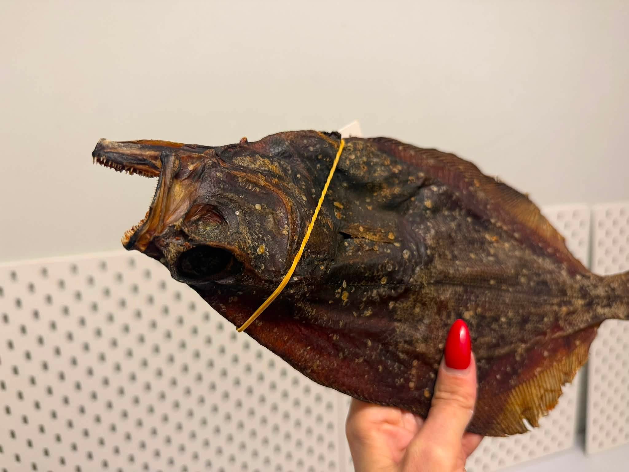 Torkad havskatt 100 g – naturligt fiskgodis med omega-3 för hund