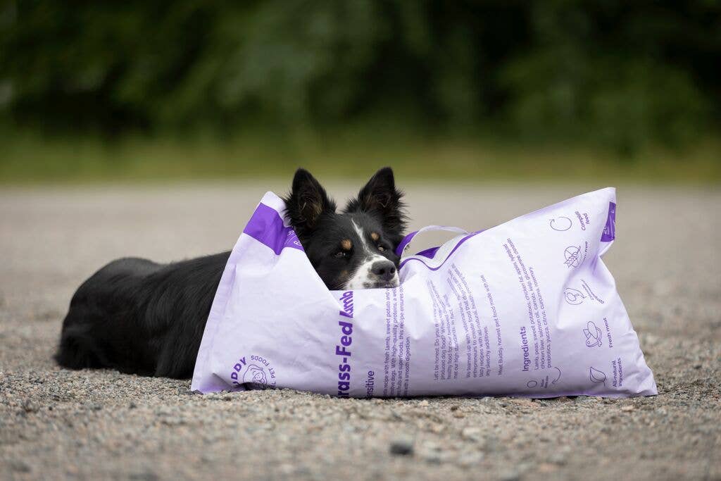 Finest Petfoods - Naturligt hundtorrfoder Buddy, gräsbetat lamm 2 kg