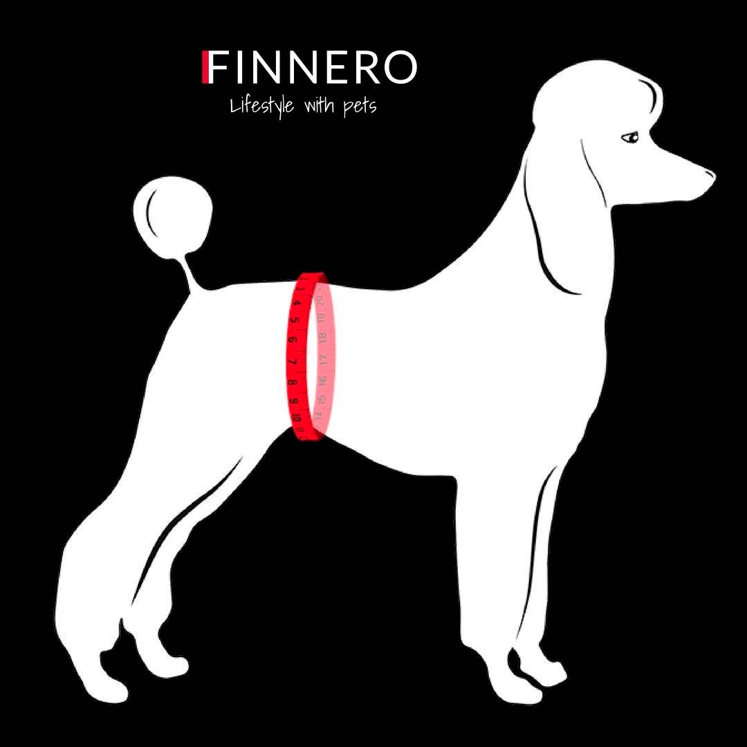 FINNERO BALLERINA Hundhygienbyxor – Rosa | Tvättbara tikskydd