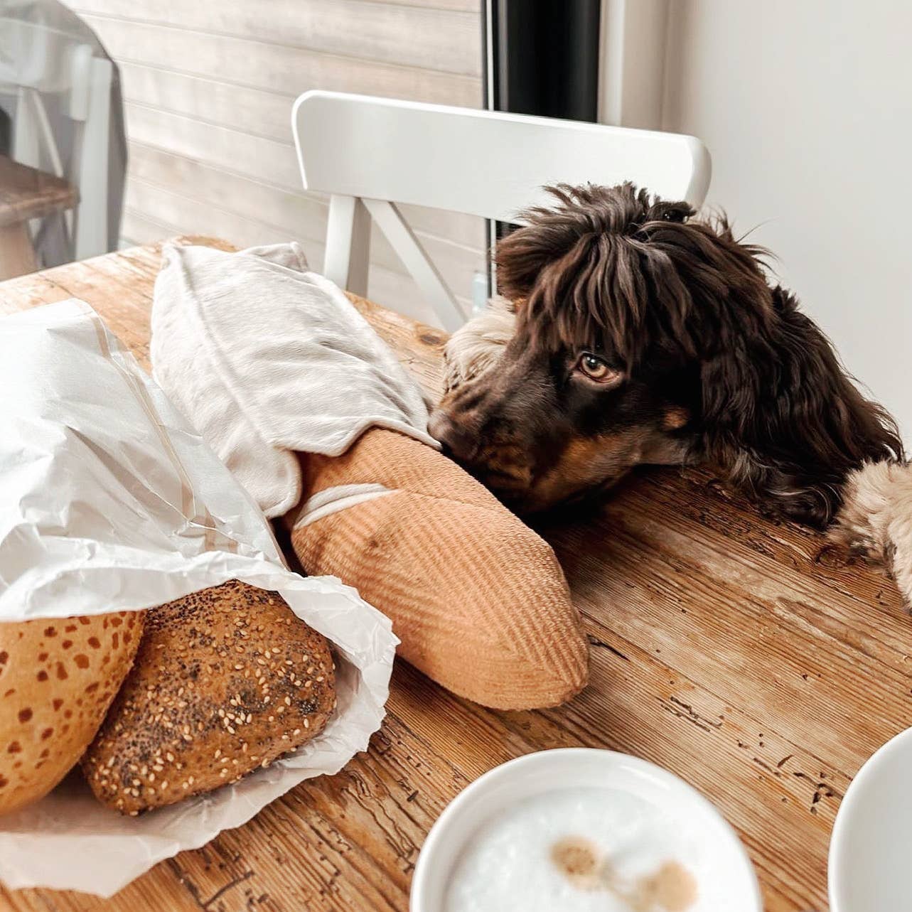 Lambwolf EU – BAGUETTE // Berikningsleksak för hund // Snuffle-leksak