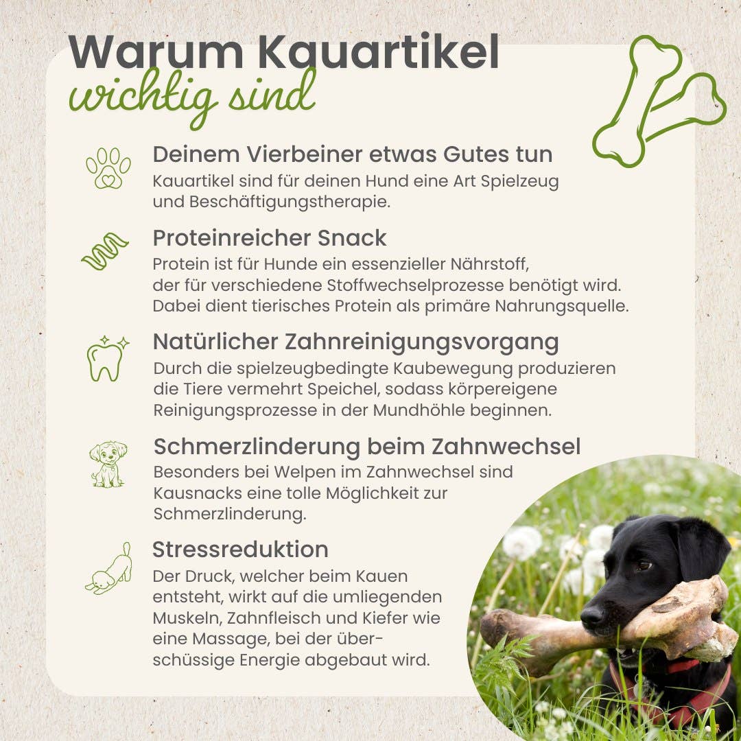 Kauartikel.com GmbH - Ox-Ziemer tuggrulle, cirka 30 cm