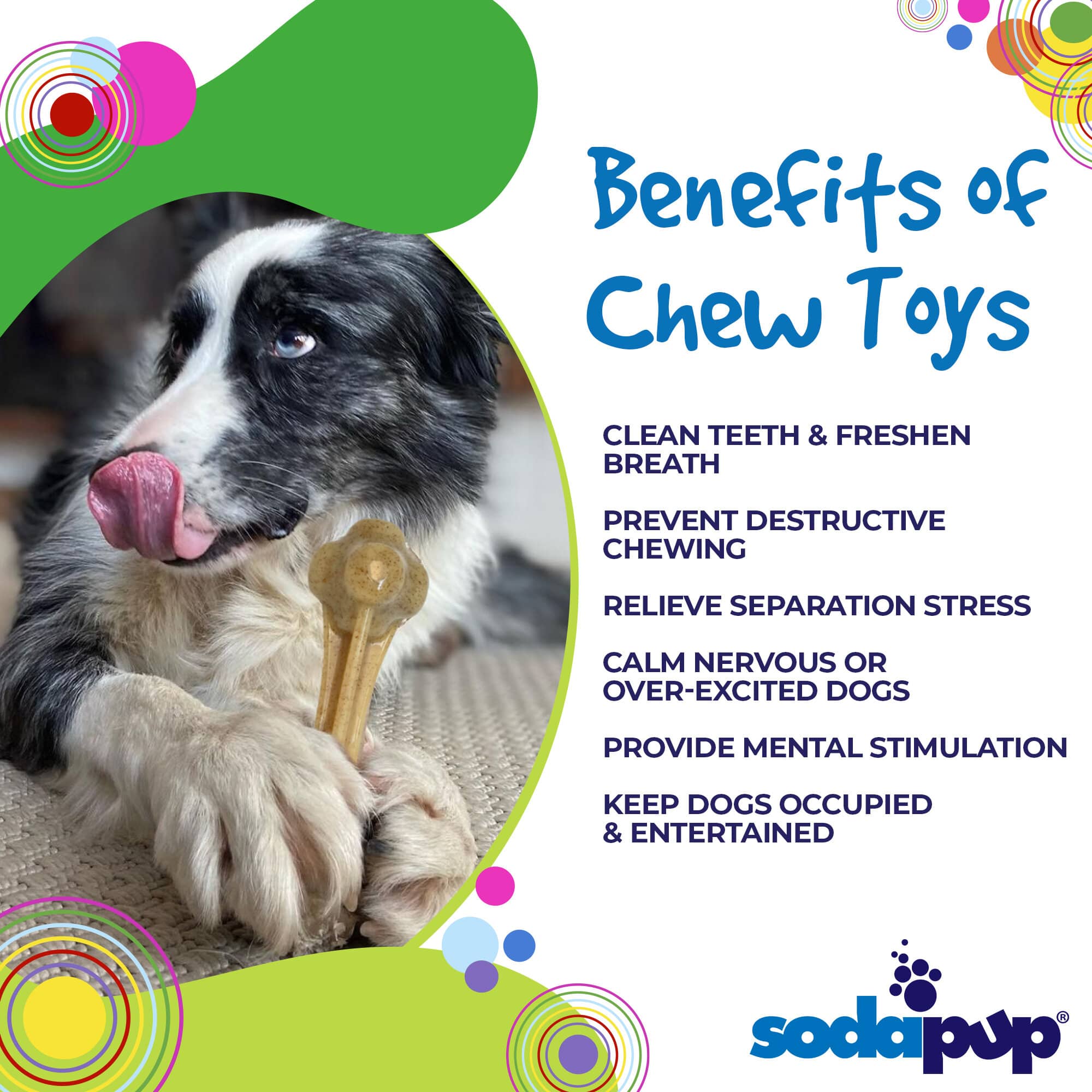 SodaPup Dog Toys - Knucklebone Ultra hållbara nylon hund tugga ben