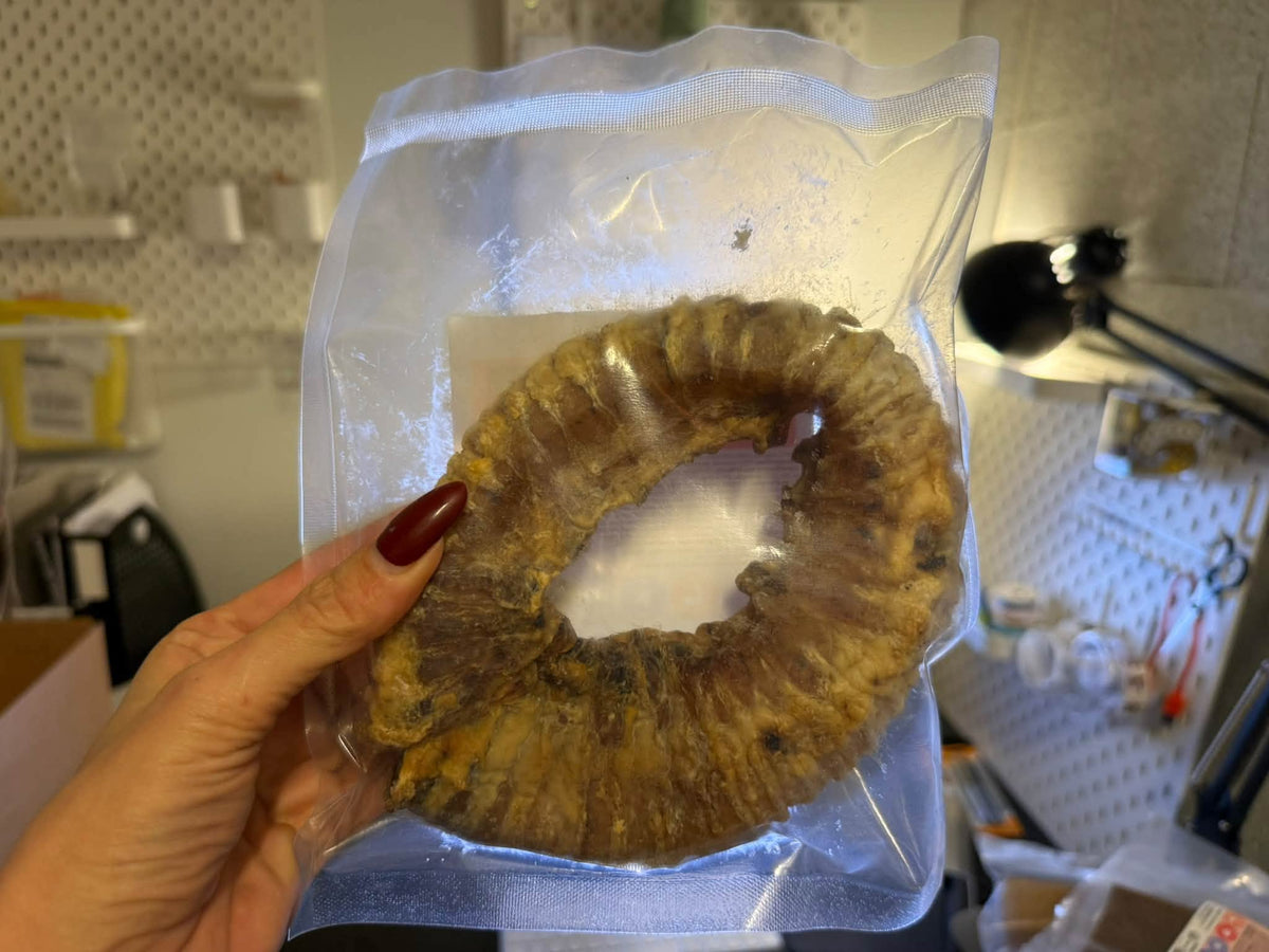 Donut av oxstrupe