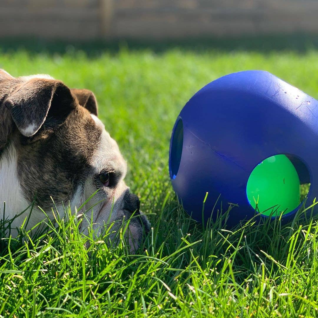 Teaser Ball – Slitstark hundleksak | Hundboll för starka hundar
