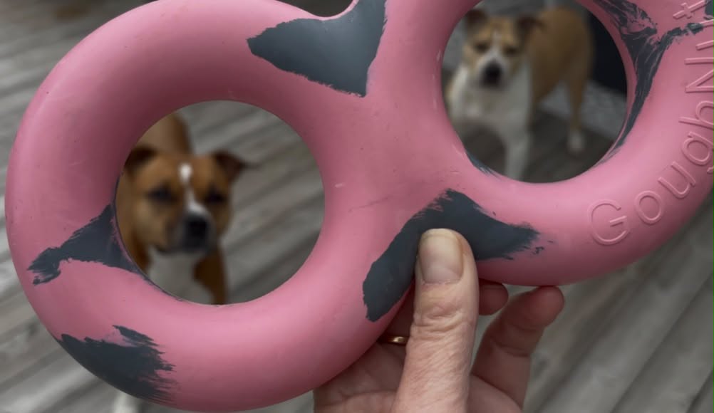 Goughnuts Original Tug Toy – Rosa Medium | Slitstark hundleksak Livstidsgaranti