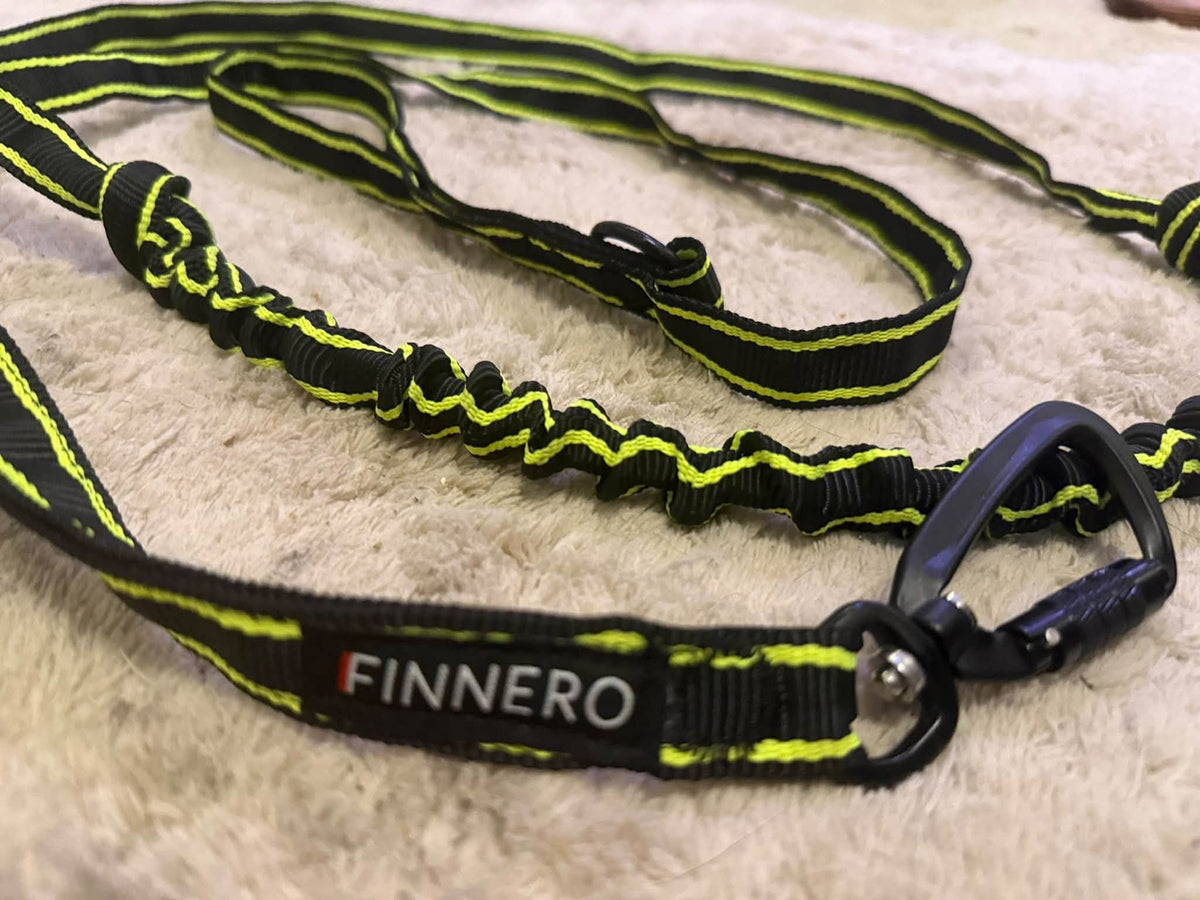 FINNERO POWER – Elastiskt hundkoppel med ryckdämpning och kontrollhandtag
