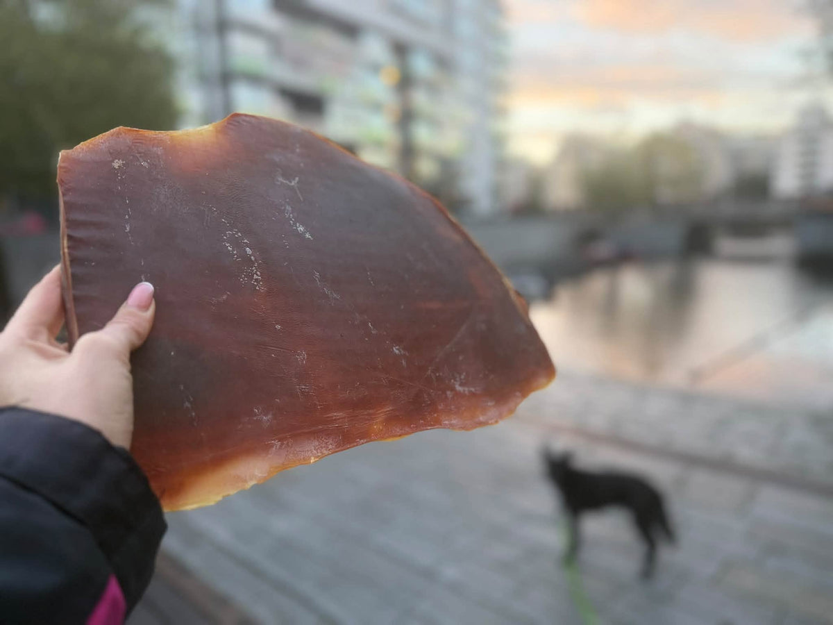 Nyhet! Exklusiva bläckfiskplattor – XXL, 100 % naturliga