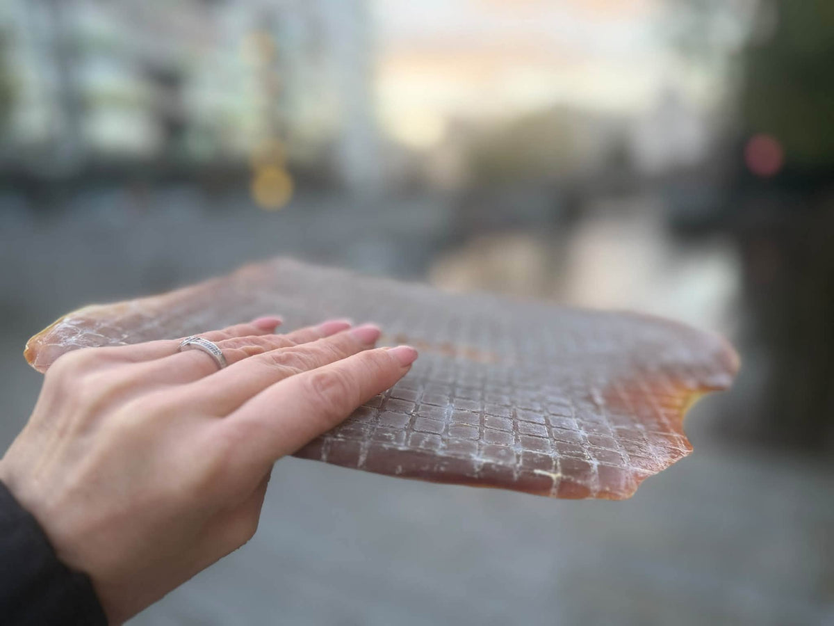 Nyhet! Exklusiva bläckfiskplattor – XXL, 100 % naturliga
