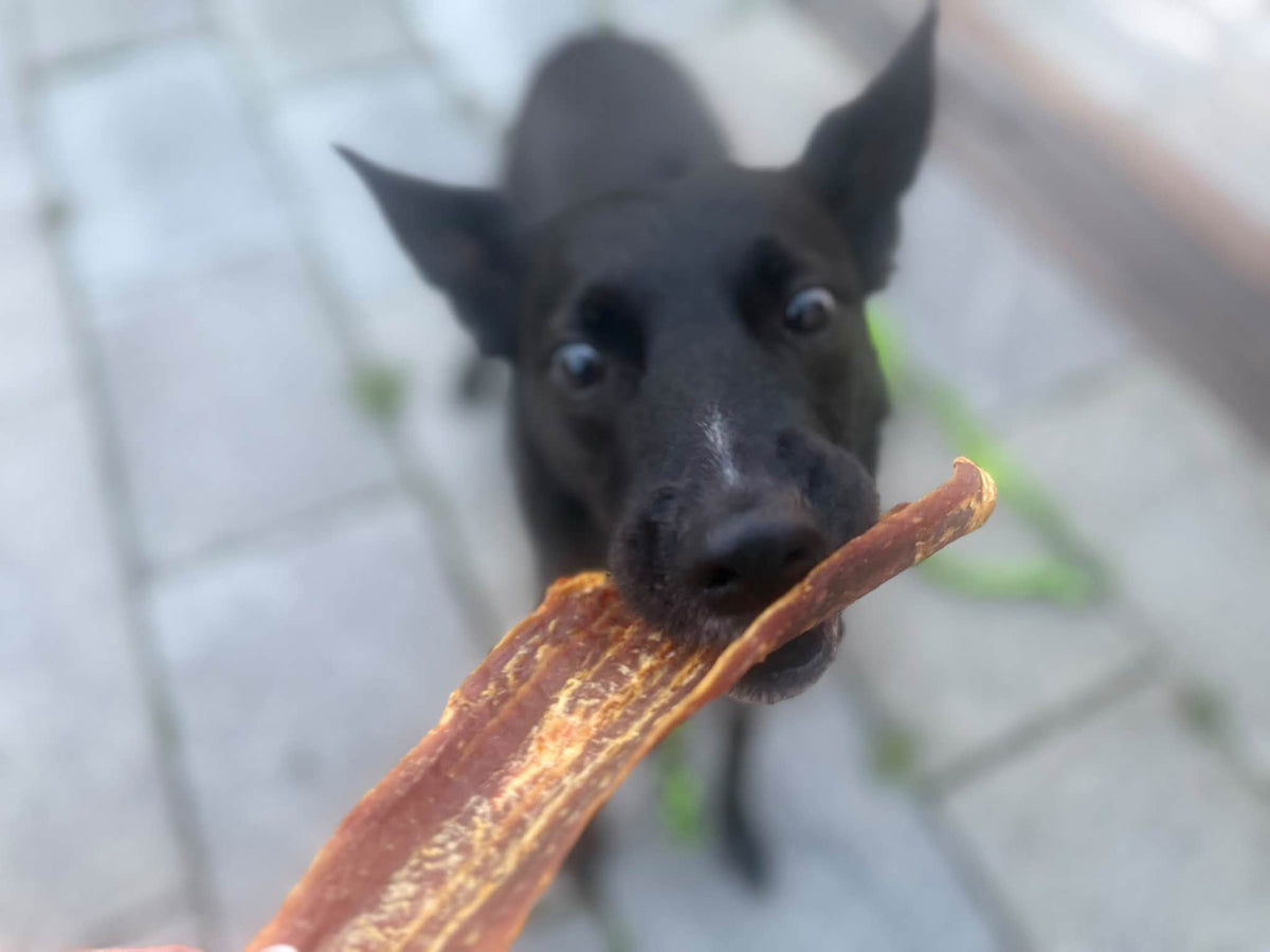 Rödfiskfilé – Naturligt hundgodis av 100 % fisk
