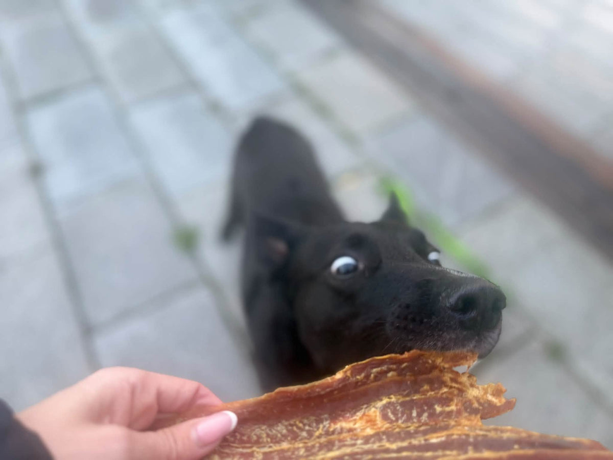 Rödfiskfilé – Naturligt hundgodis av 100 % fisk