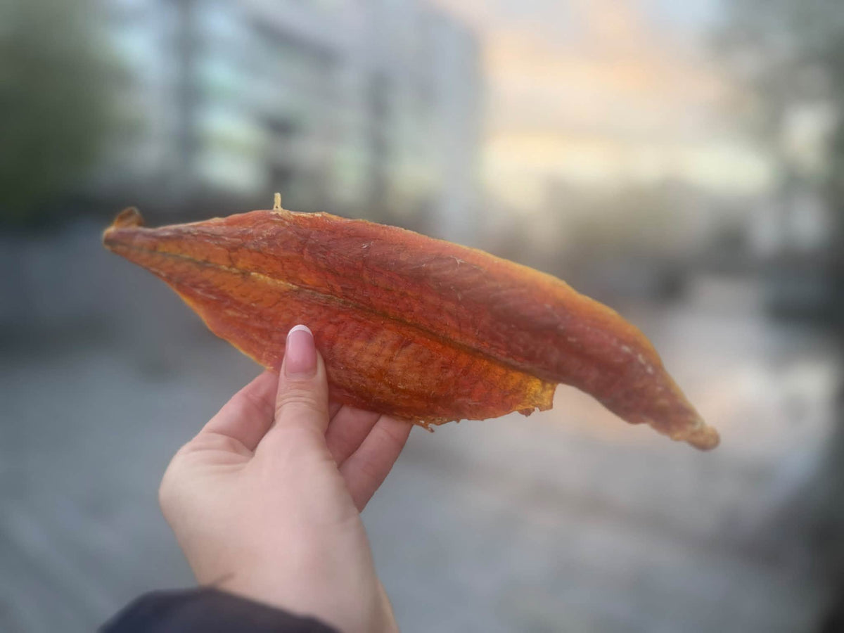 Rödfiskfilé – Naturligt hundgodis av 100 % fisk