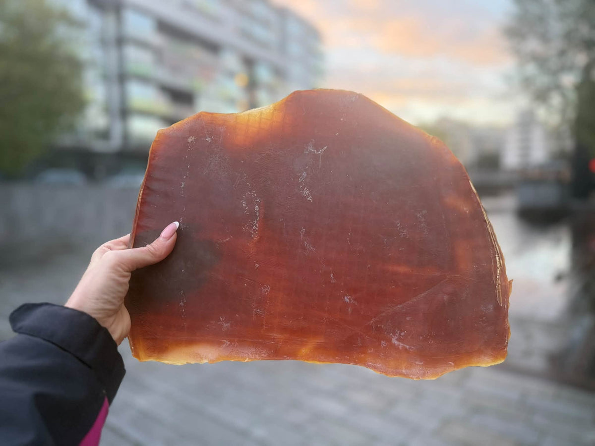 Nyhet! Exklusiva bläckfiskplattor – XXL, 100 % naturliga