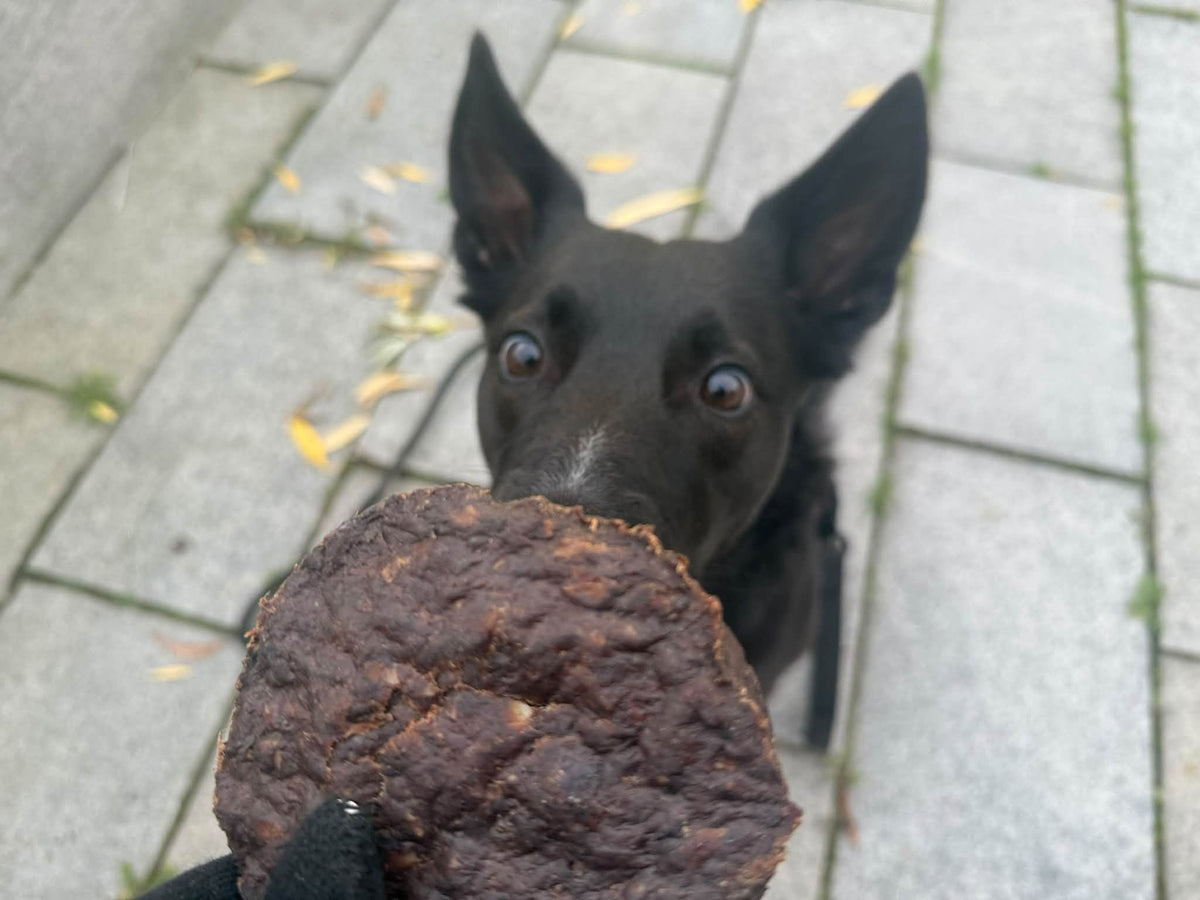 Emmzo Vomburgare 4-pack – 🇸🇪 Svenskt naturligt hundgodis av vom | Staffeshoppen