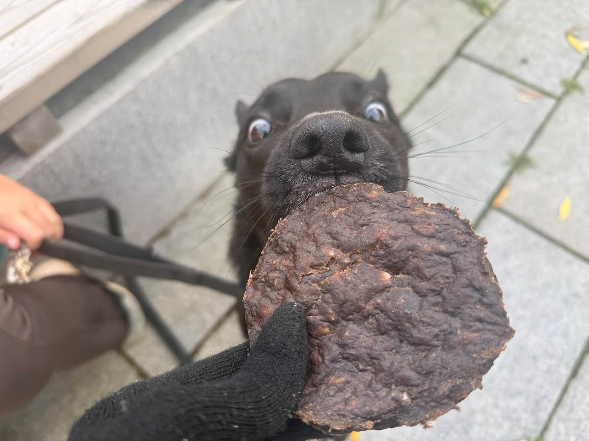 Emmzo Vomburgare 4-pack – 🇸🇪 Svenskt naturligt hundgodis av vom | Staffeshoppen