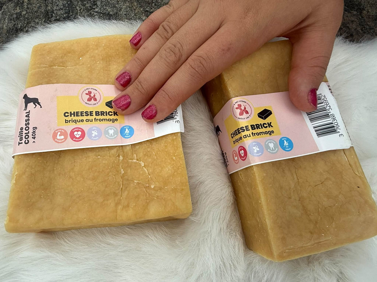 Cheese Brick – Gigantiskt ostblock för hund