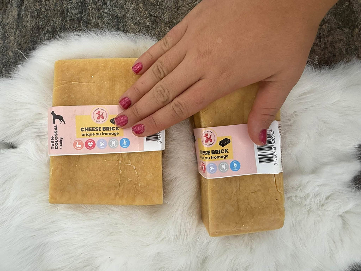 Cheese Brick – Gigantiskt ostblock för hund