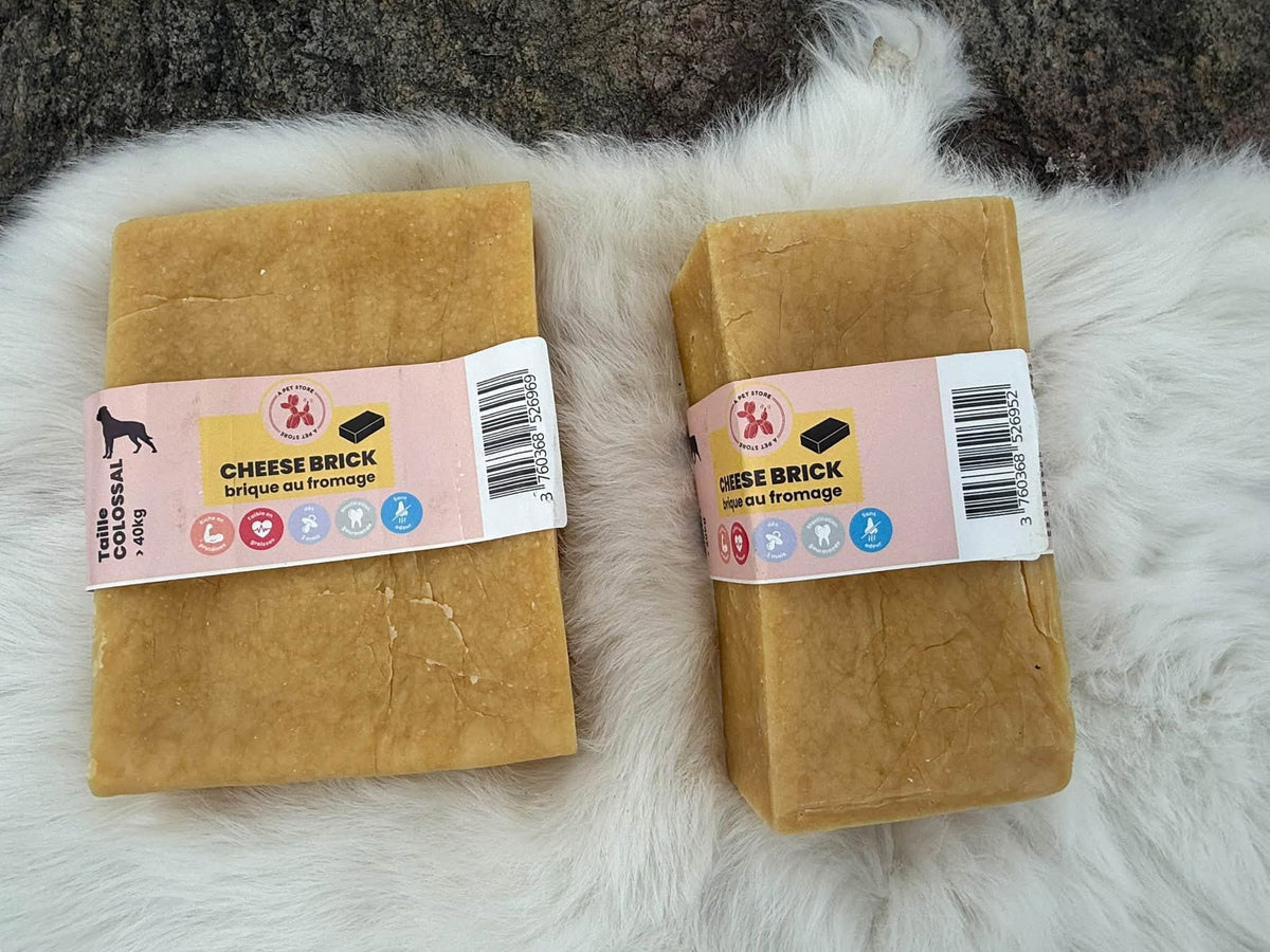 Cheese Brick – Gigantiskt ostblock för hund