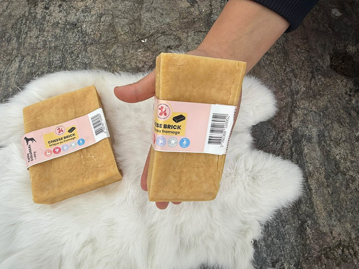Cheese Brick – Gigantiskt ostblock för hund