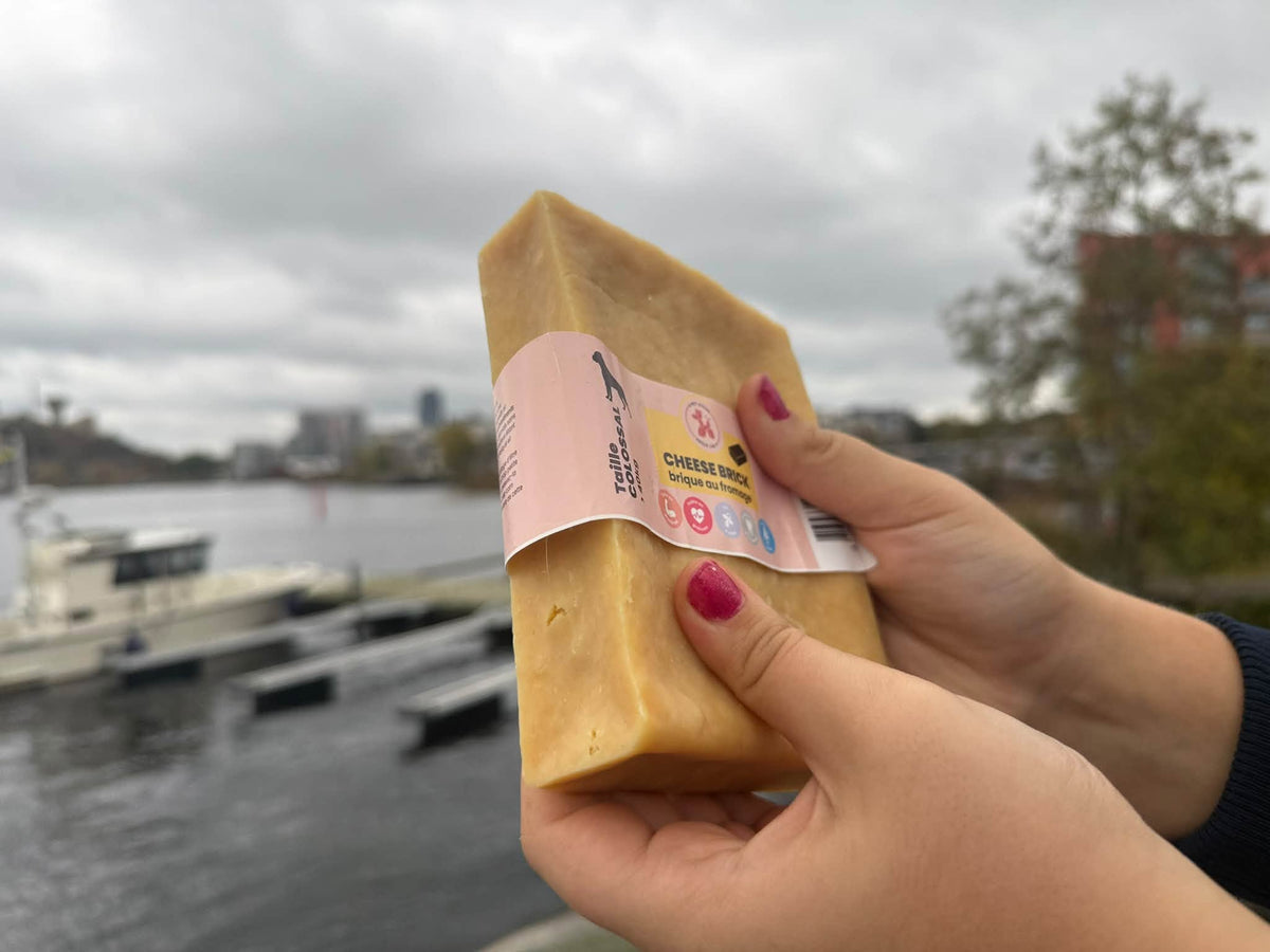 Cheese Brick – Gigantiskt ostblock för hund