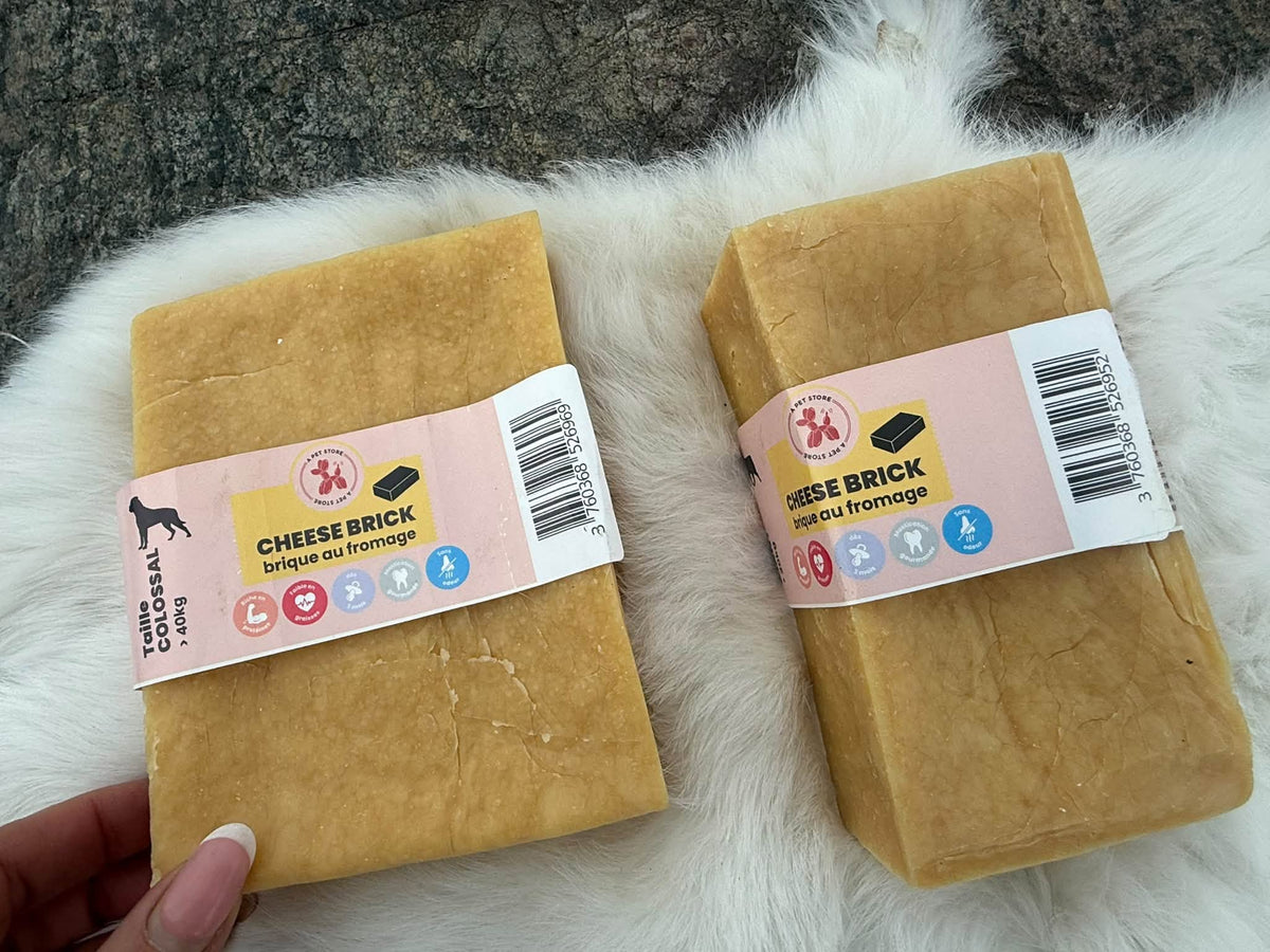 Cheese Brick – Gigantiskt ostblock för hund