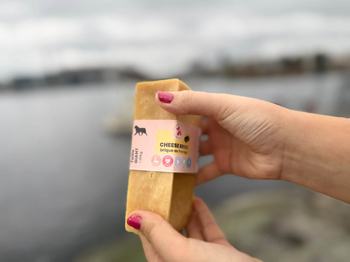 Cheese Brick – Gigantiskt ostblock för hund