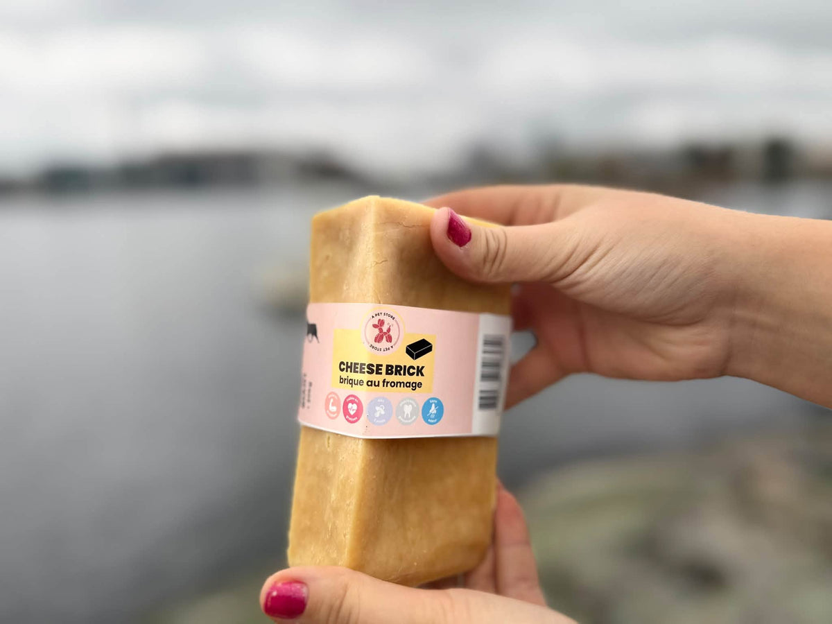 Cheese Brick – Gigantiskt ostblock för hund