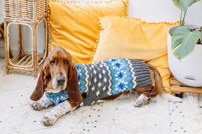 Chilly Dog ljusblå Fair Isle – handstickad hundtröja i XXXL