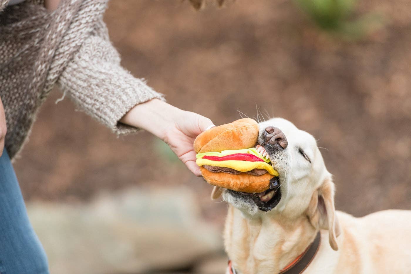 Only An Ocean Europe - VDBT - P.L.A.Y American Classic Barky Burger hundleksak