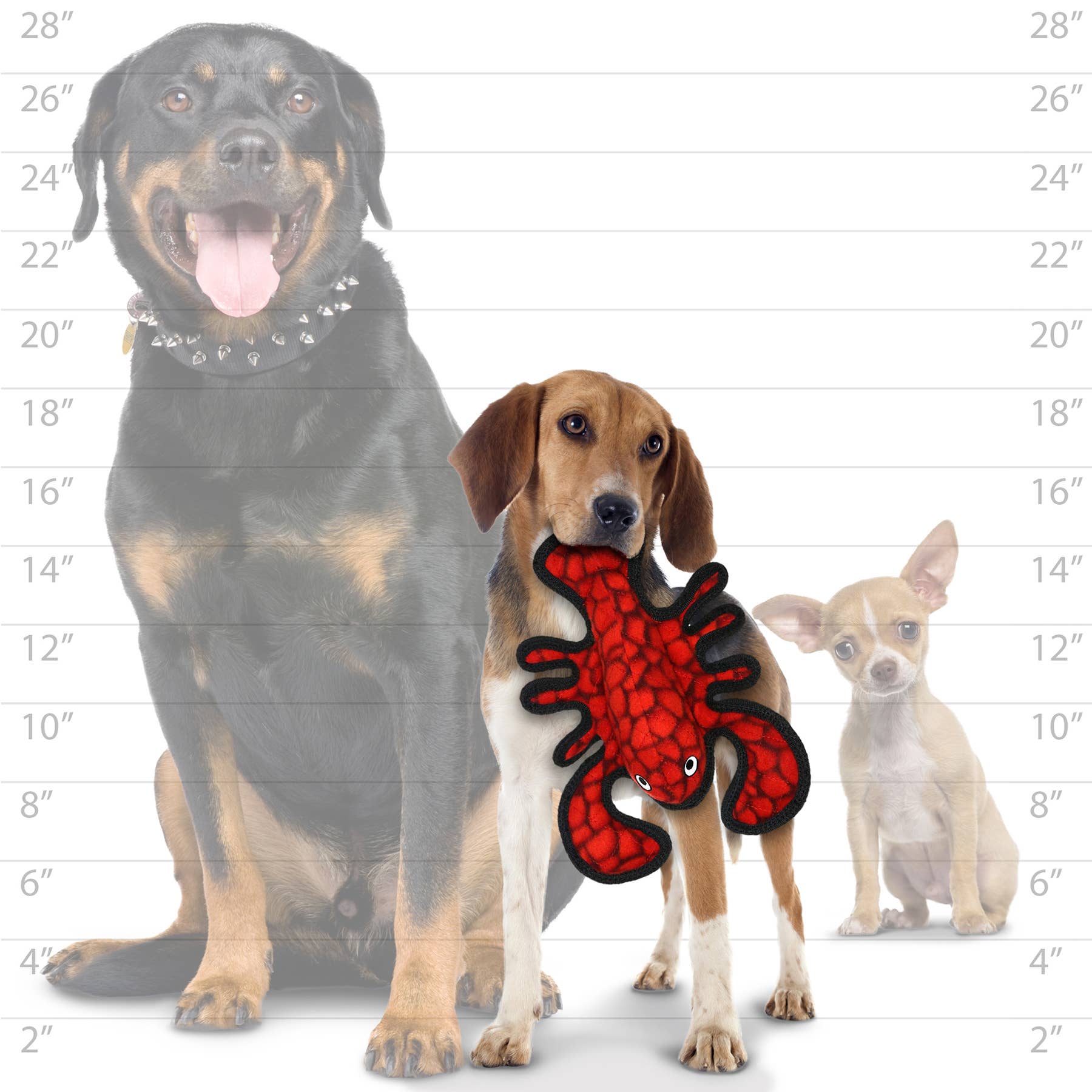 Tuffy Ocean Jr Hummer – Slitstark pipande hundleksak