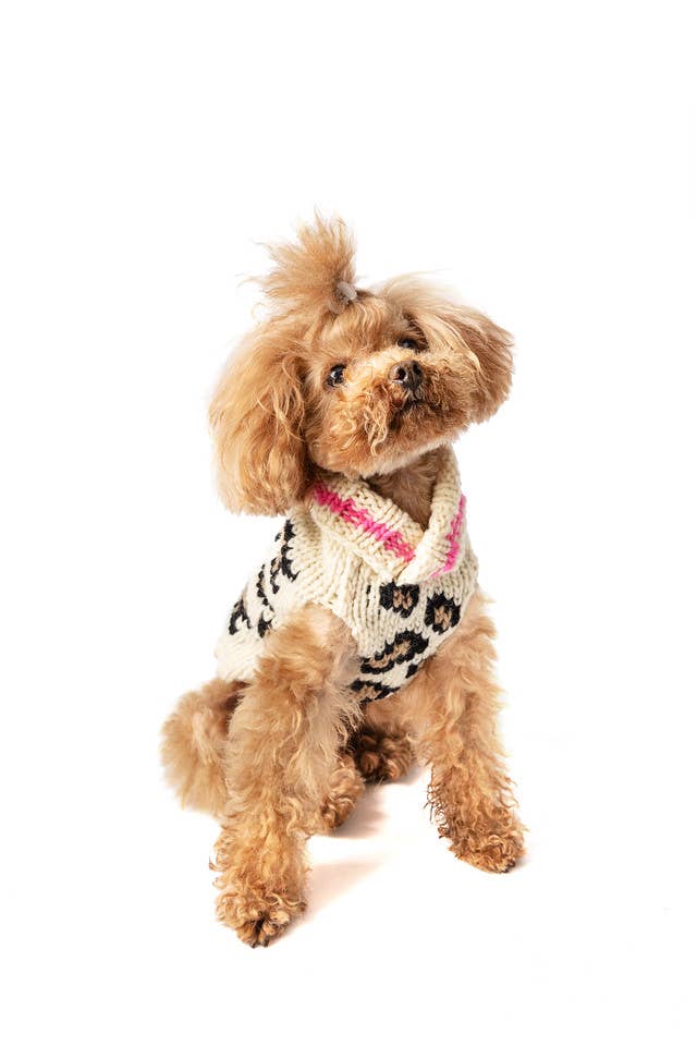 Chilly Dog Leopard Dog – handstickad hundtröja i alpackaull XXL