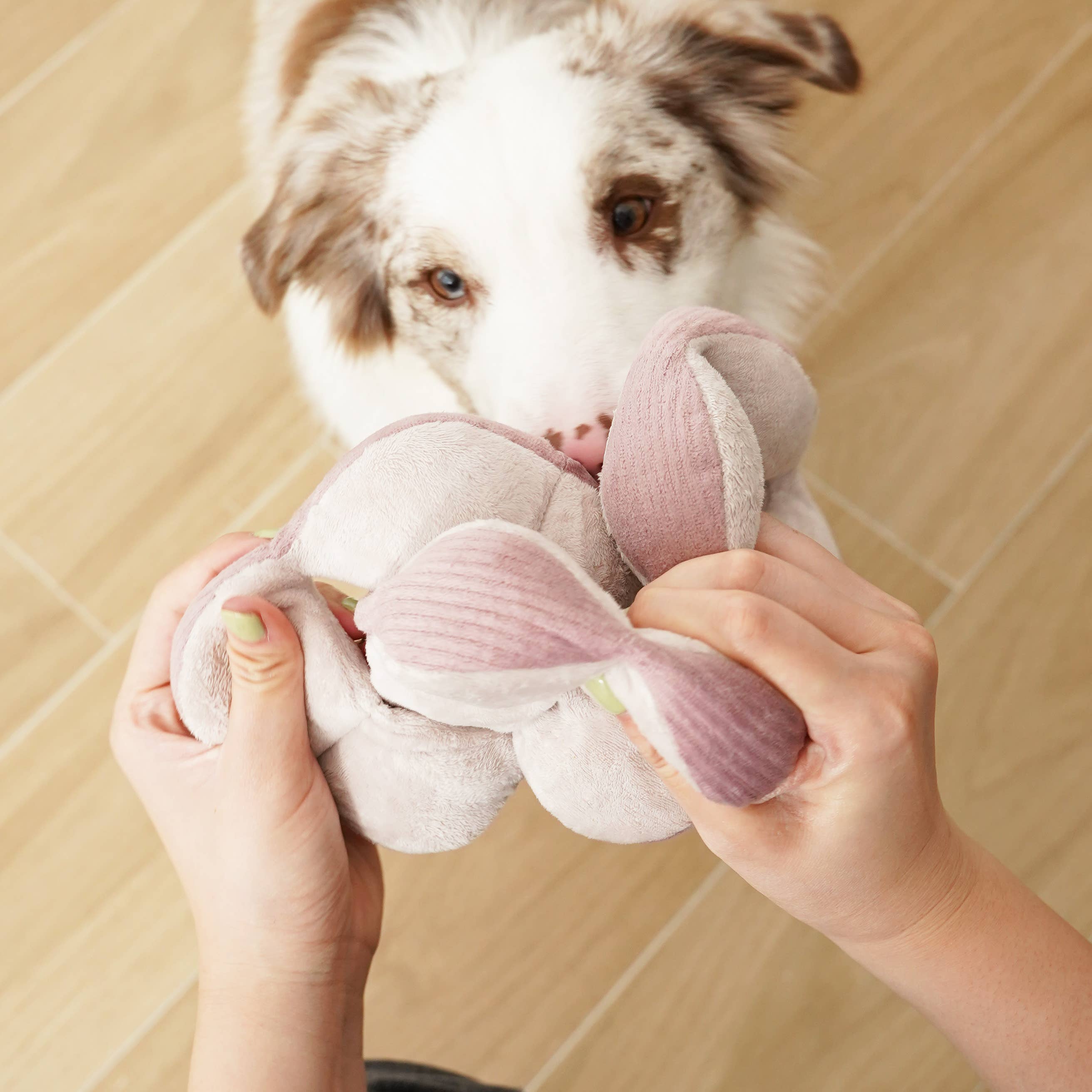 Lambwolf Monti Rosa Berikningsleksak