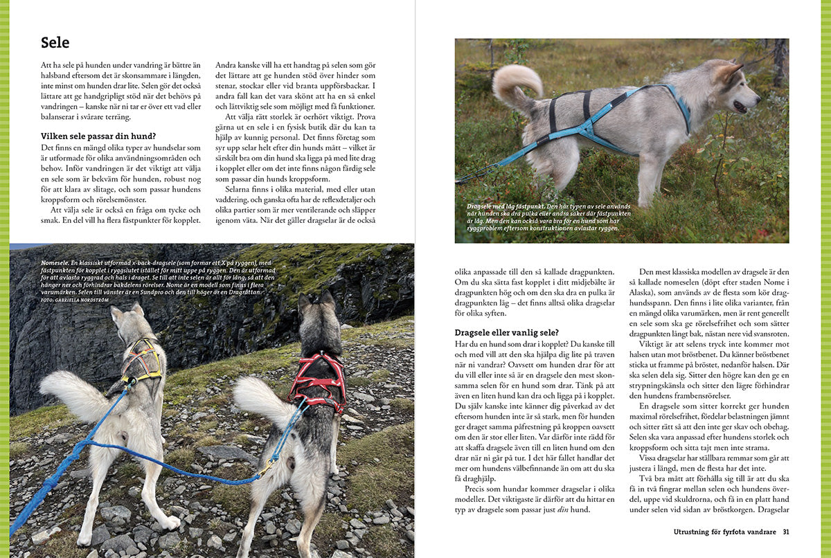 Vandra med Hund – Guide till vandring, tältliv & friluftsliv med hund