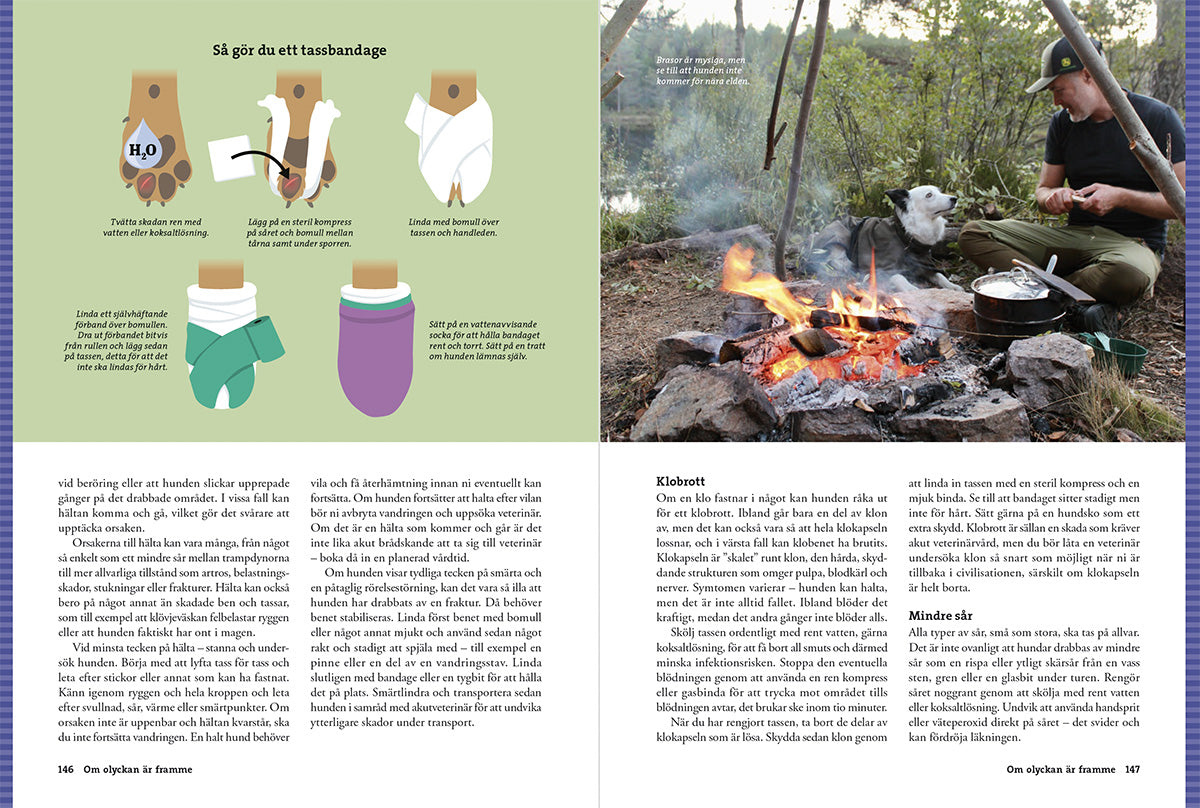 Vandra med Hund – Guide till vandring, tältliv & friluftsliv med hund