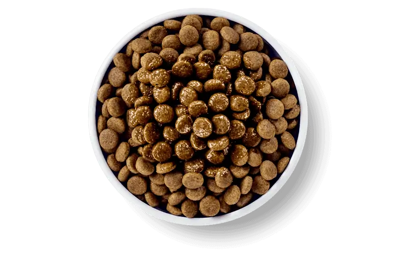 Applaws DOG Taste Toppers Kycklingbenbuljong 200 ml