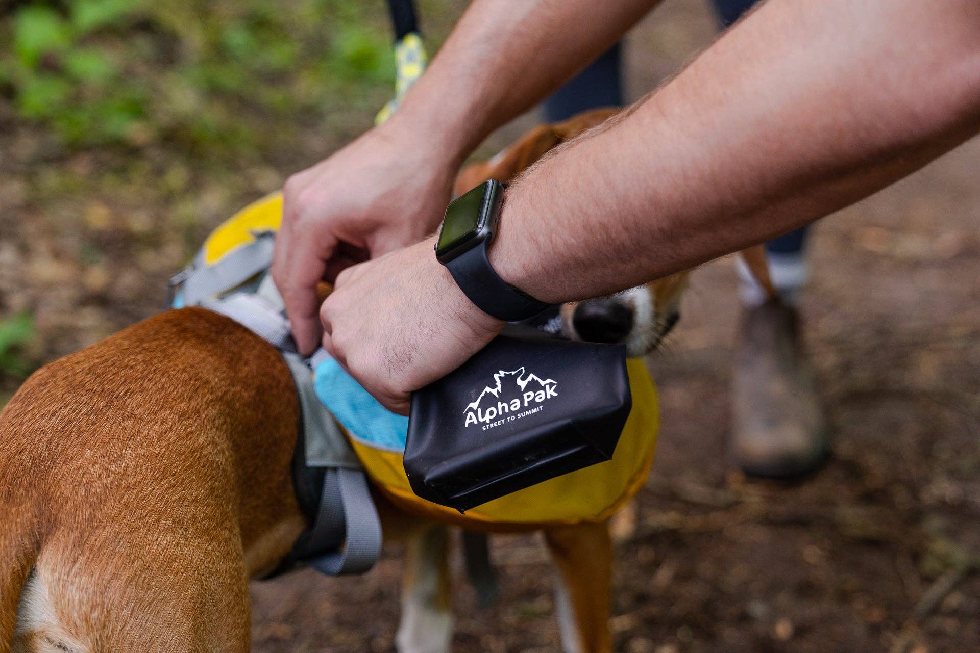 AlphaPak Gallatin – Hopfällbar lättvikts vattenskål för hund500 ml