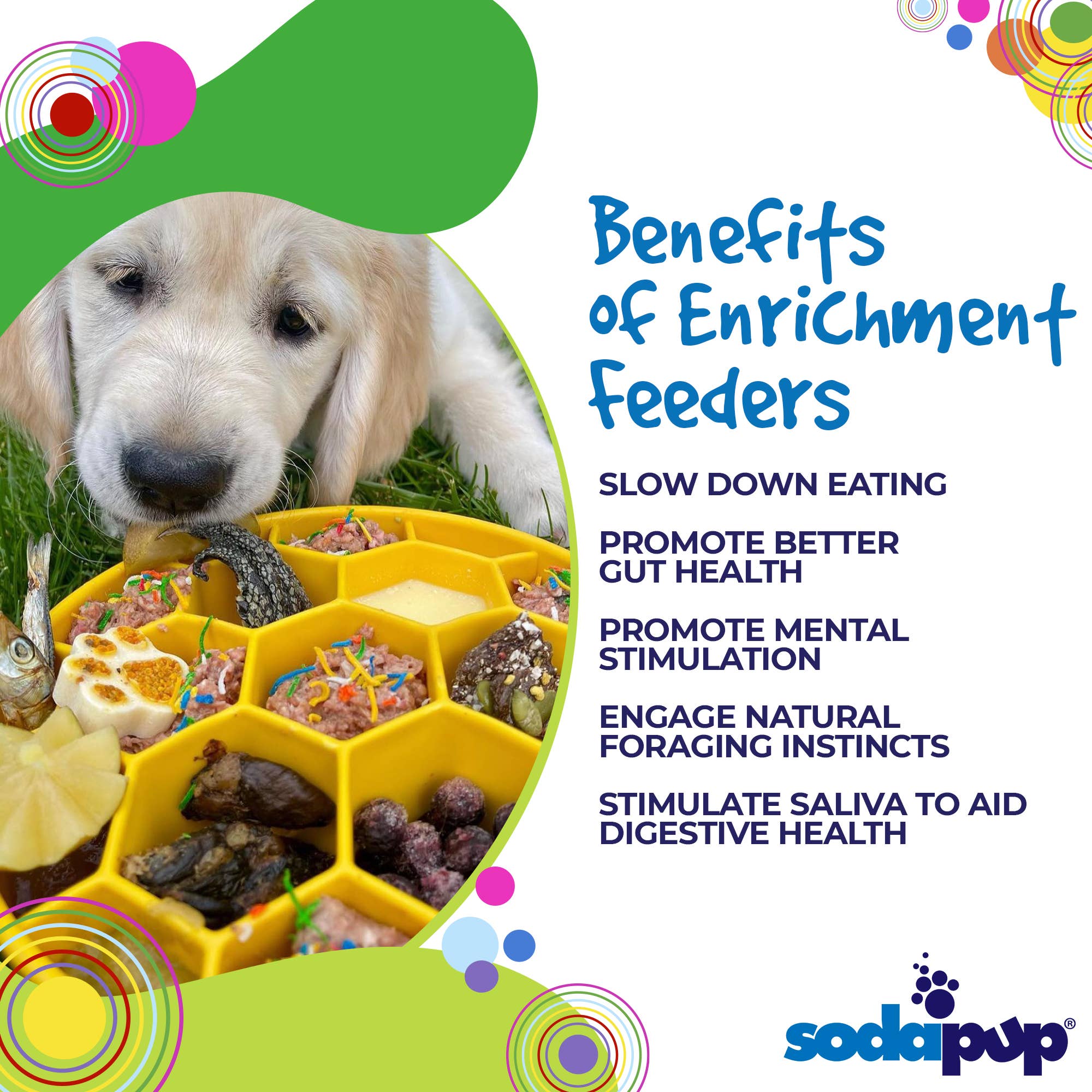 SodaPup Honeycomb eBowl – Slow feeder & berikningsskål för hund