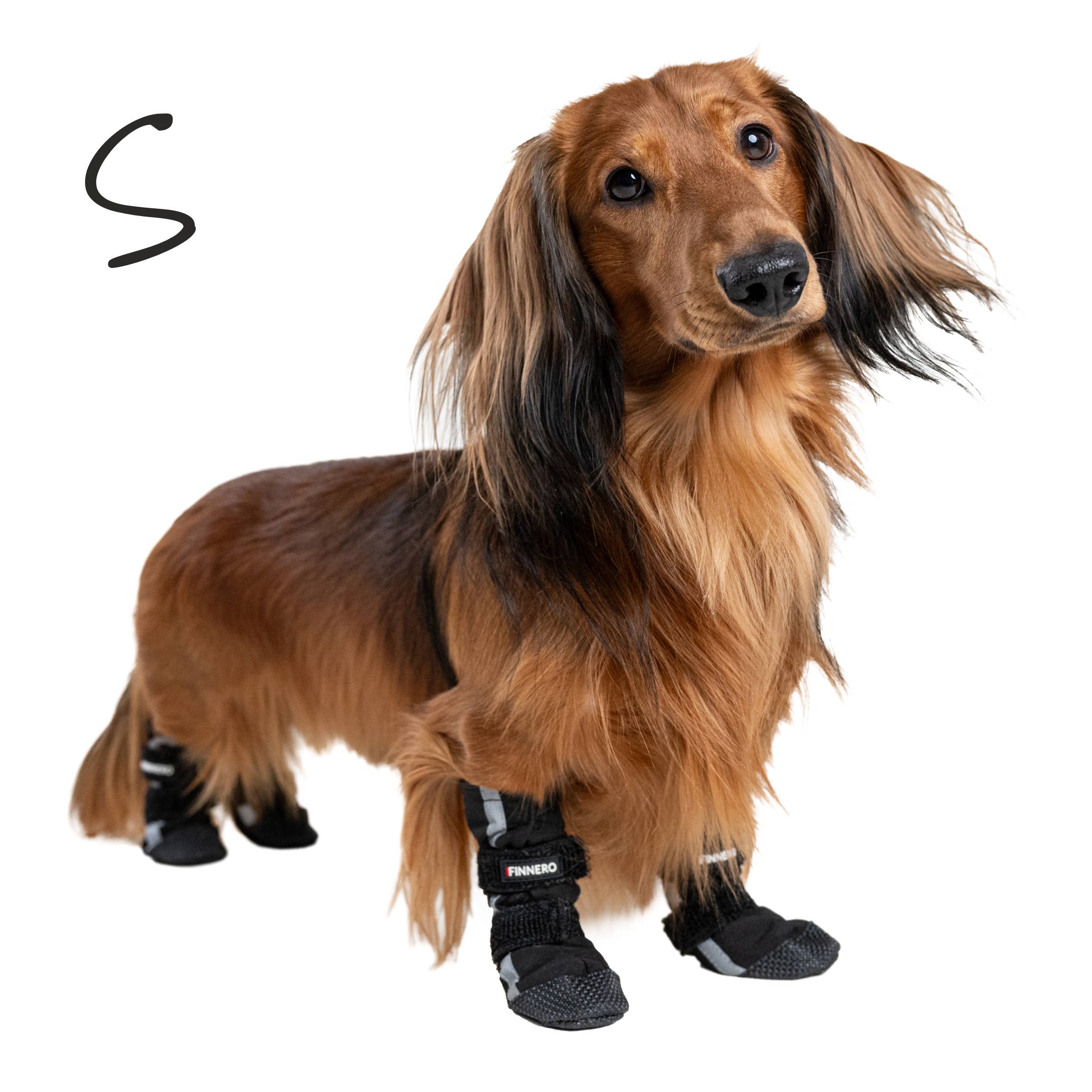 FINNERO HALLA Softshell Hundskor, 4 st/förpackning