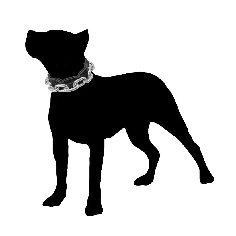 Vikthalsband för Hund – Exklusivt Tungt Stålkedjehalsband