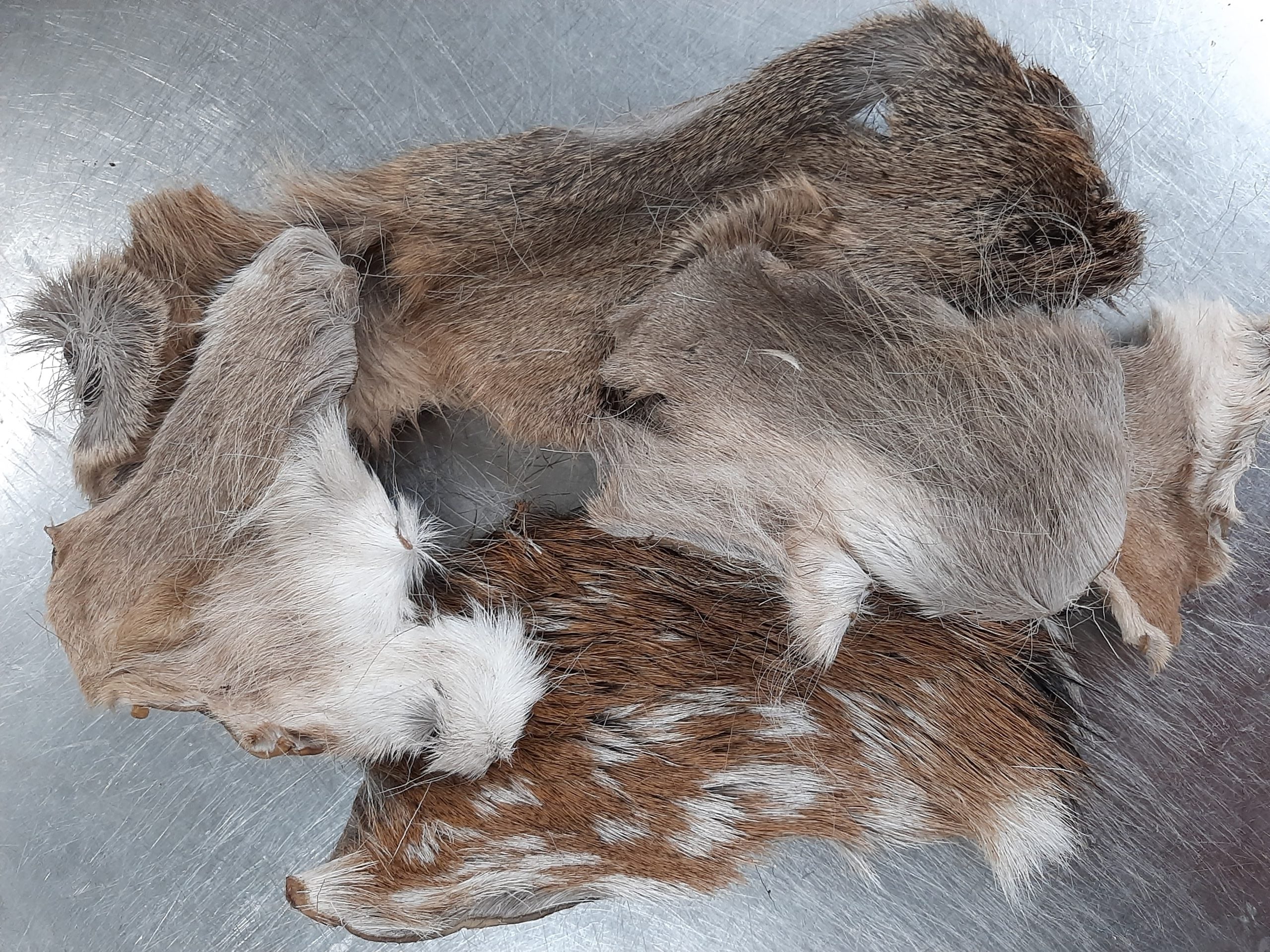 Emmzo Hjortskinn med Päls 300 g 🇸🇪 – Naturligt Hundtugg av Hjort | Staffeshoppen