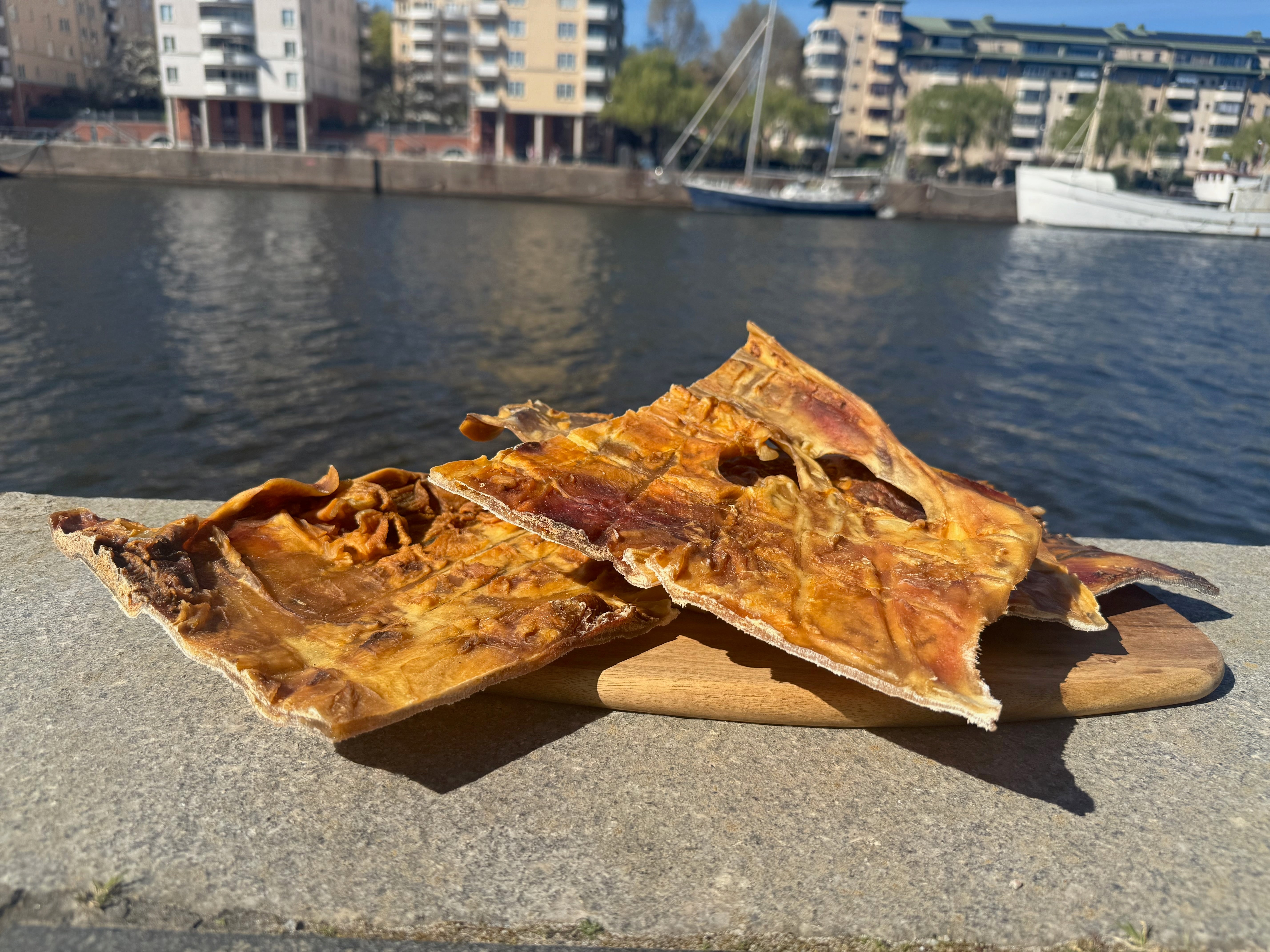 Extra Hård Oxhud – XXL-platta | Naturligt hundtugg för kraftfulla käkar