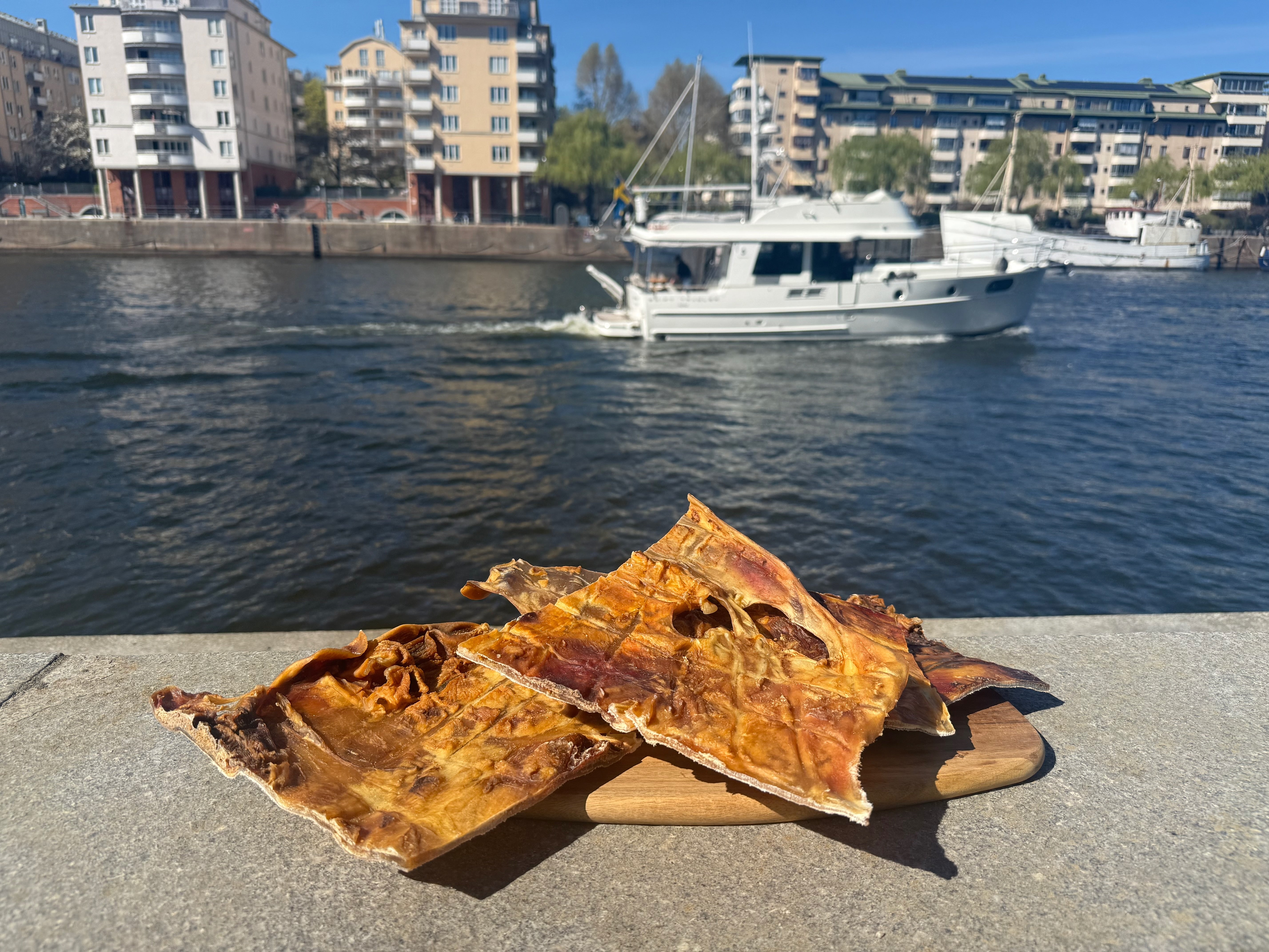 Extra Hård Oxhud – XXL-platta | Naturligt hundtugg för kraftfulla käkar